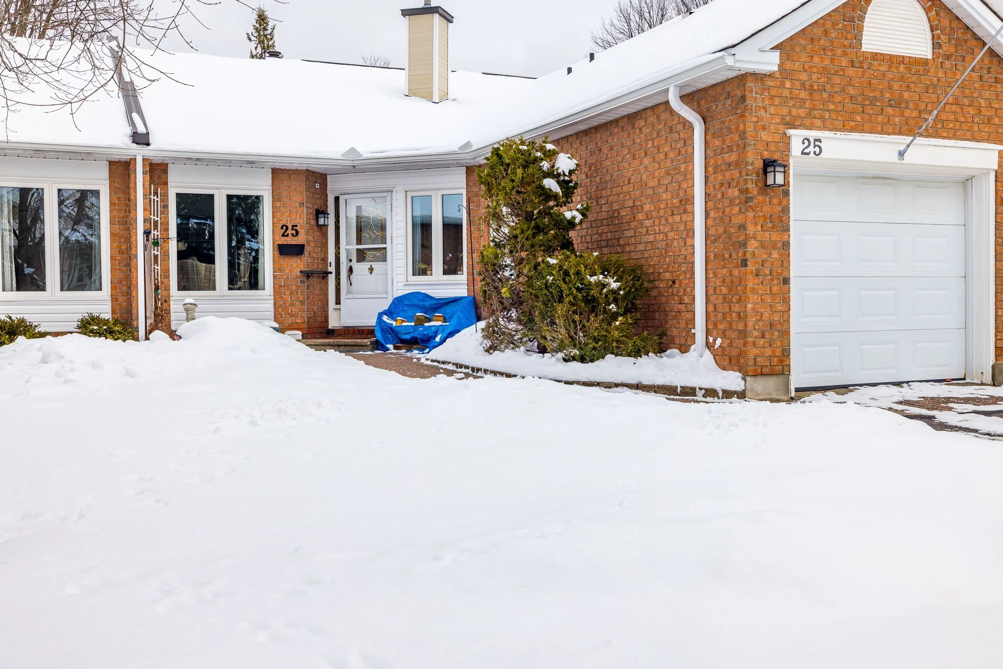 25 Pine Needles_006.jpg