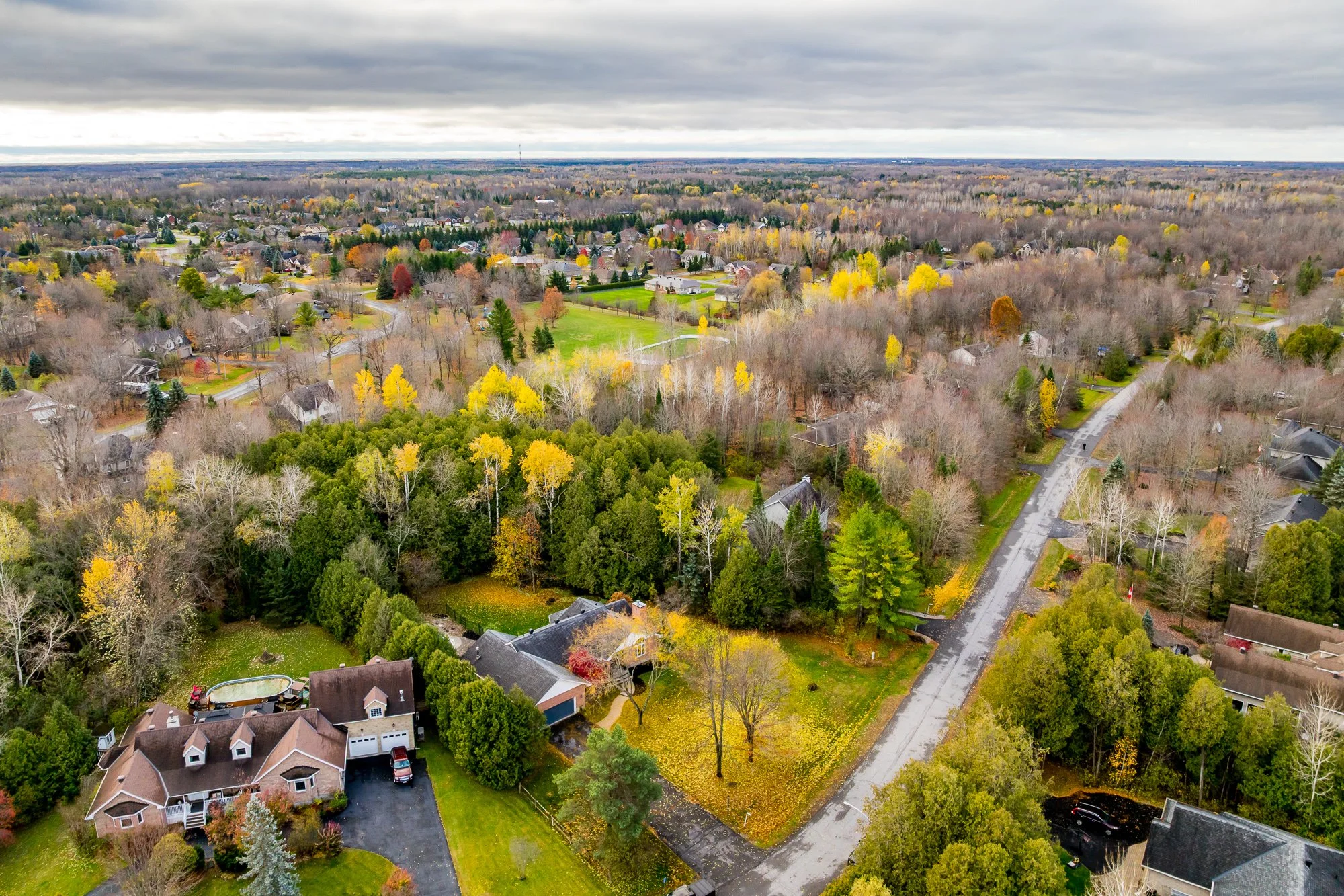 6492 Waddion_004.jpg