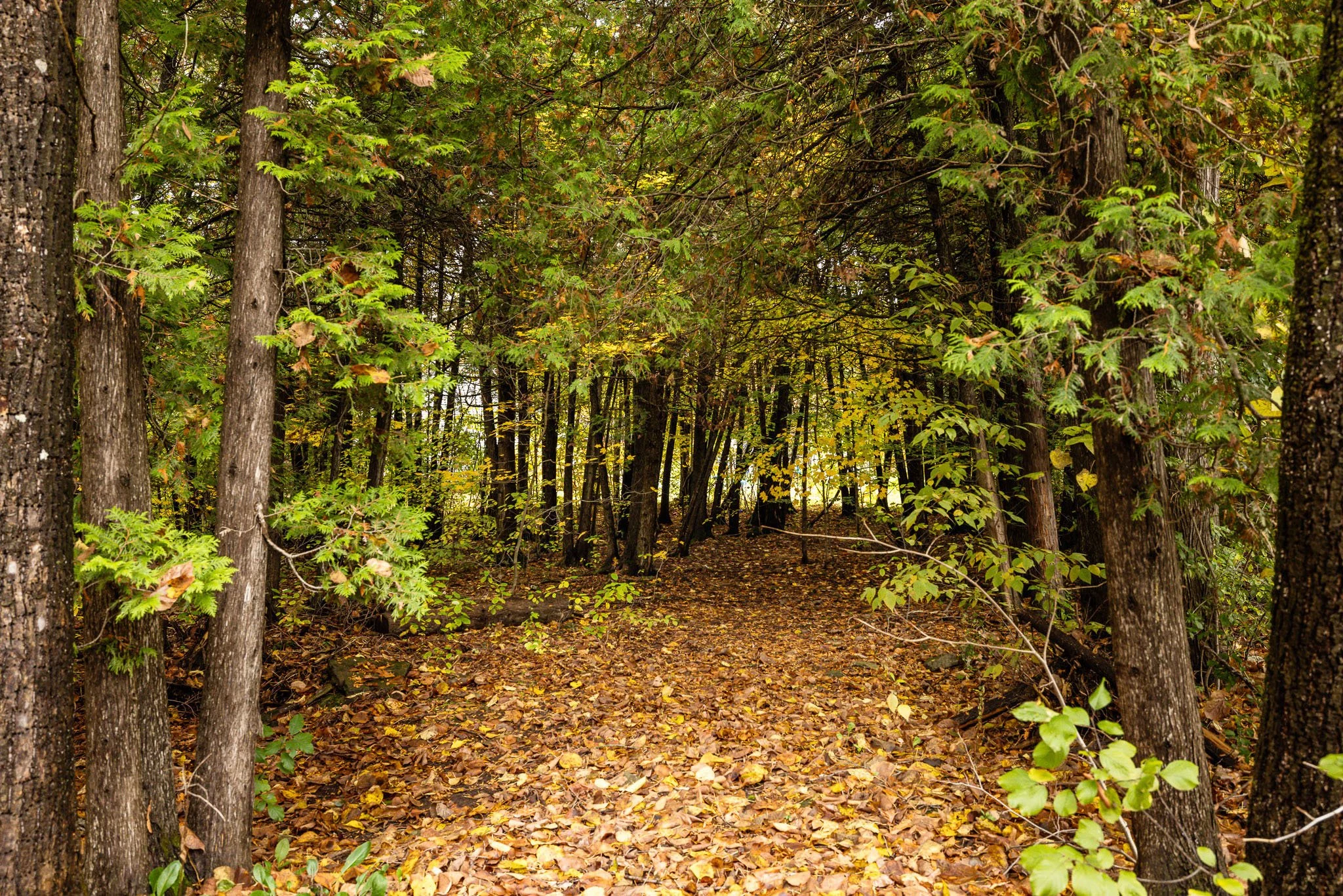 869 Rock_0041.jpg