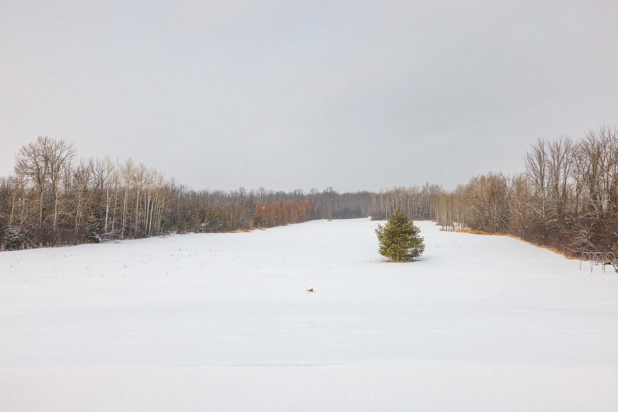 1916 Drummond Conc 7_086.jpg