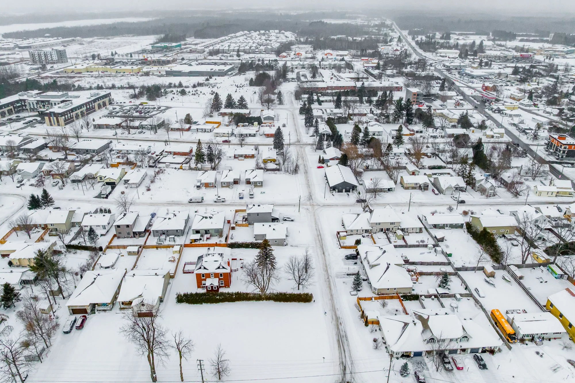 294 Dumbrille_015.jpg