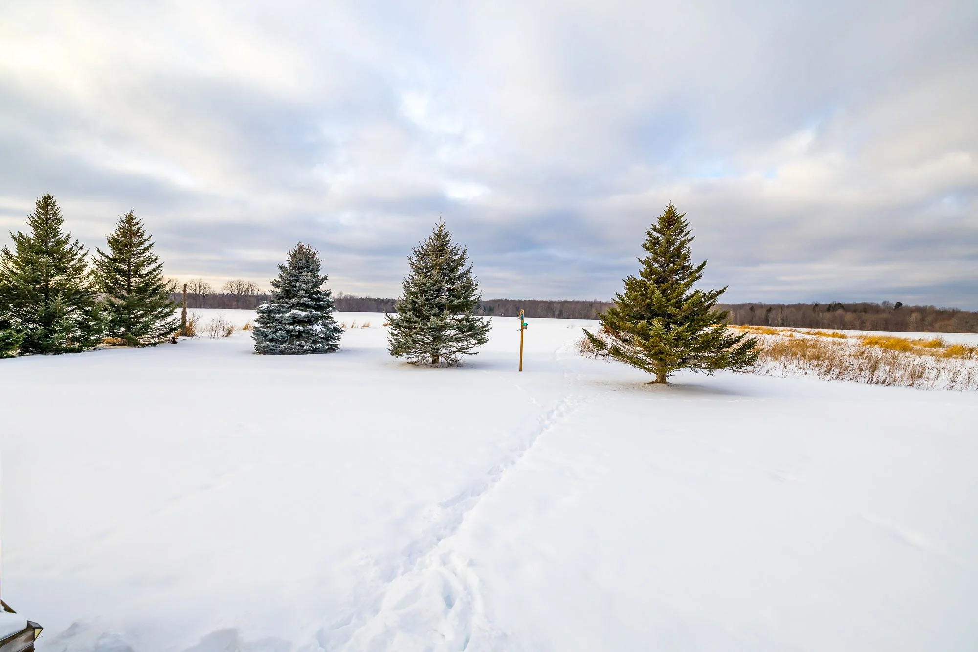 344 Richardson_Update_014.jpg