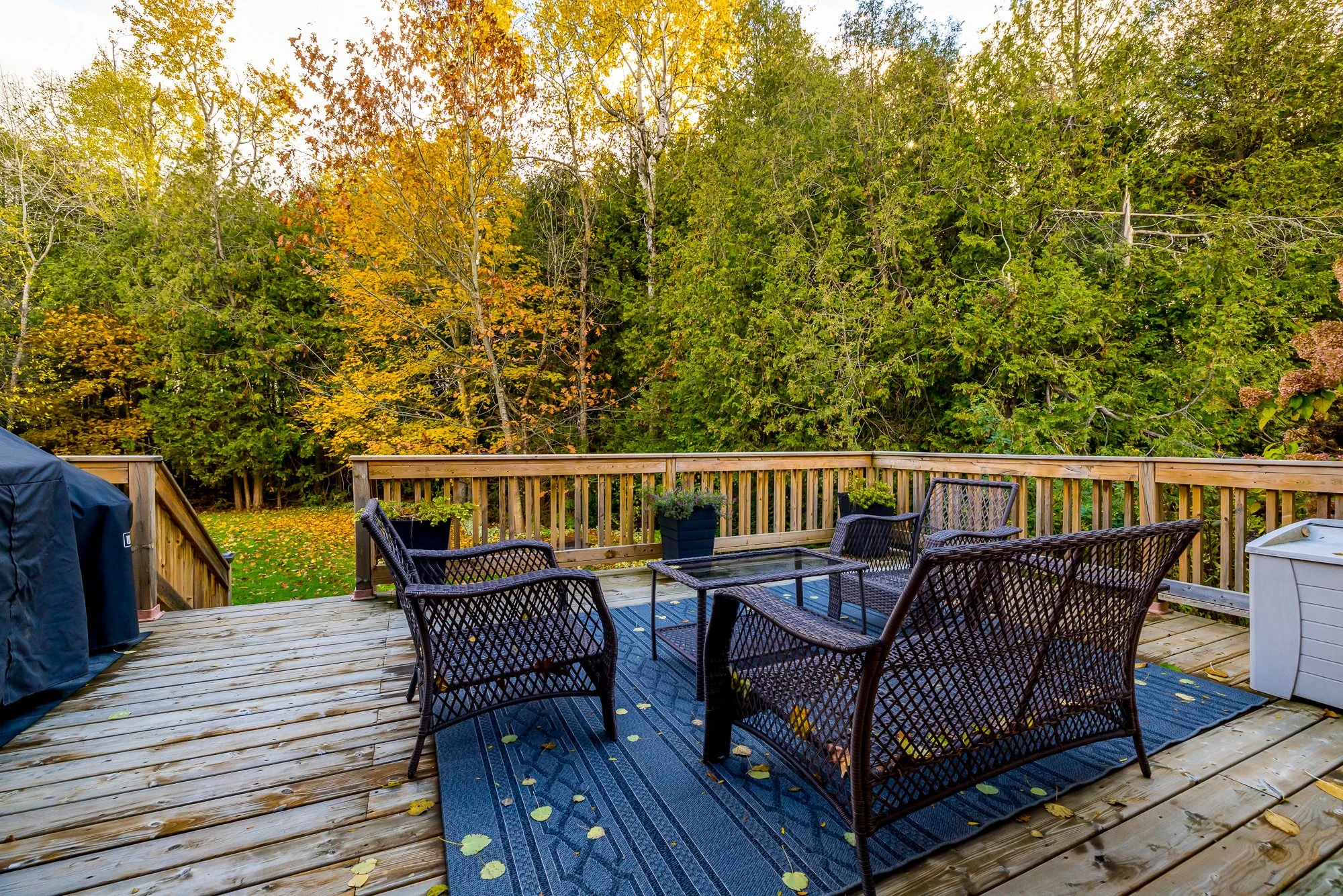 6492 Waddion_075.jpg