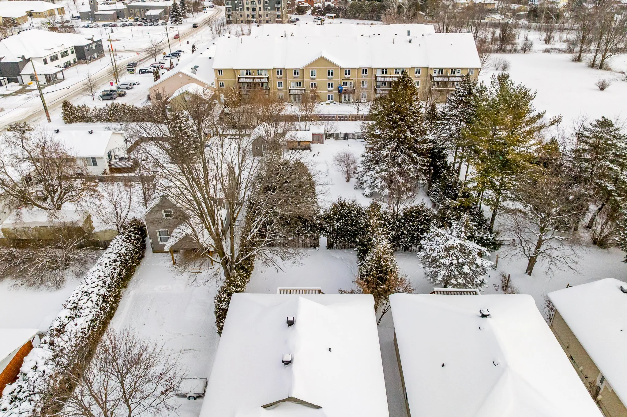 193 Napoleon_048.jpg