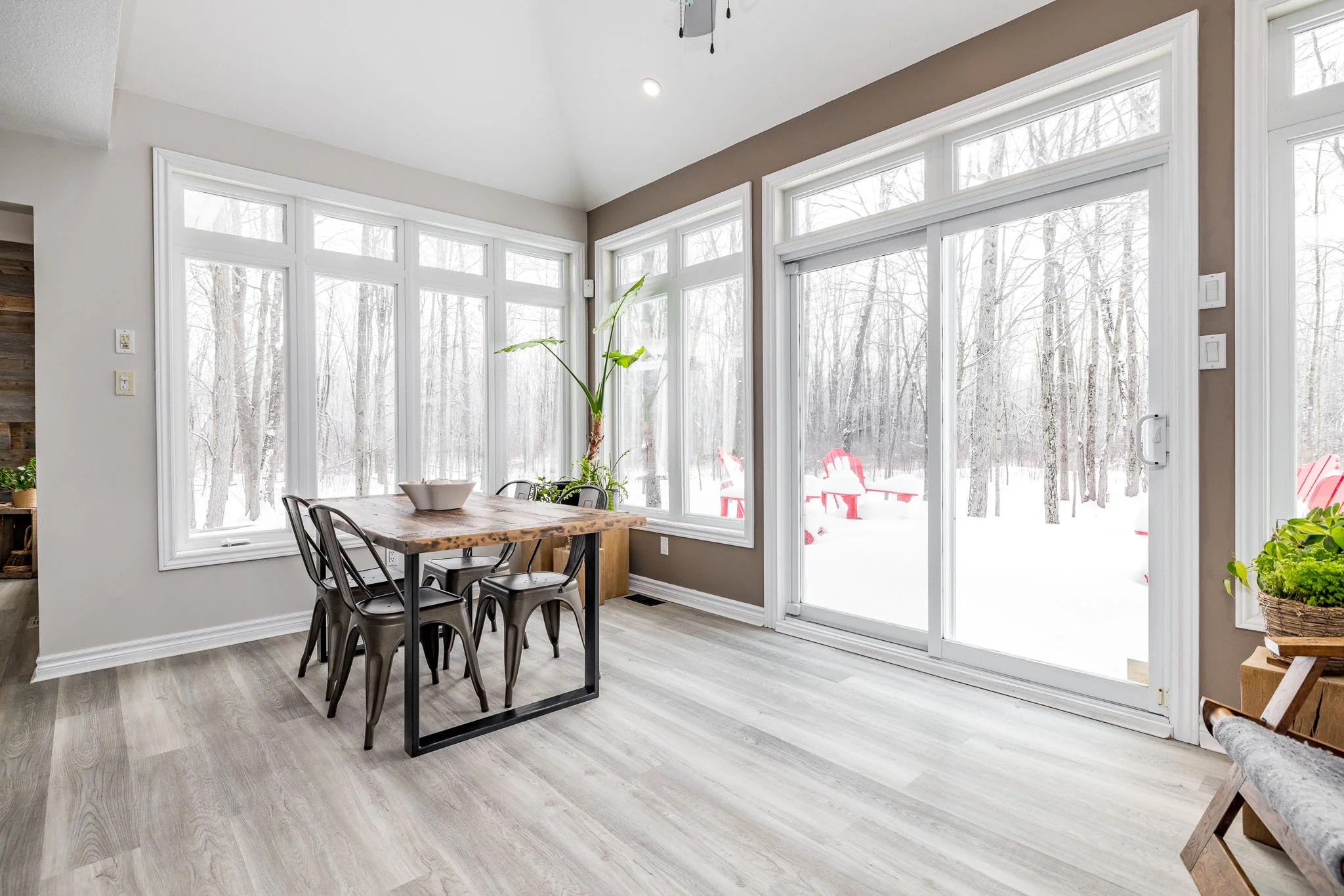 5830 Wood Duck_031.jpg