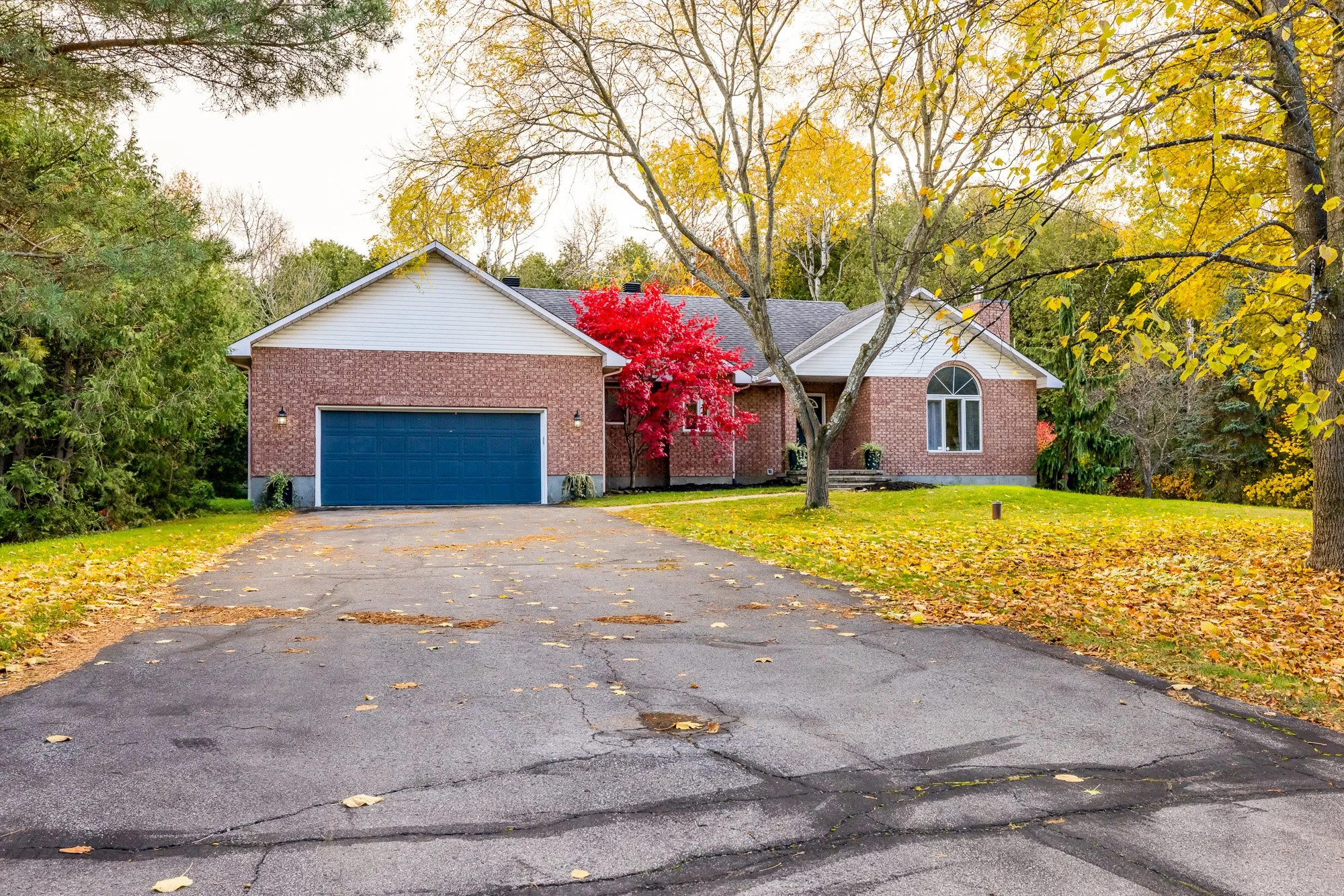 6492 Waddion_007.jpg