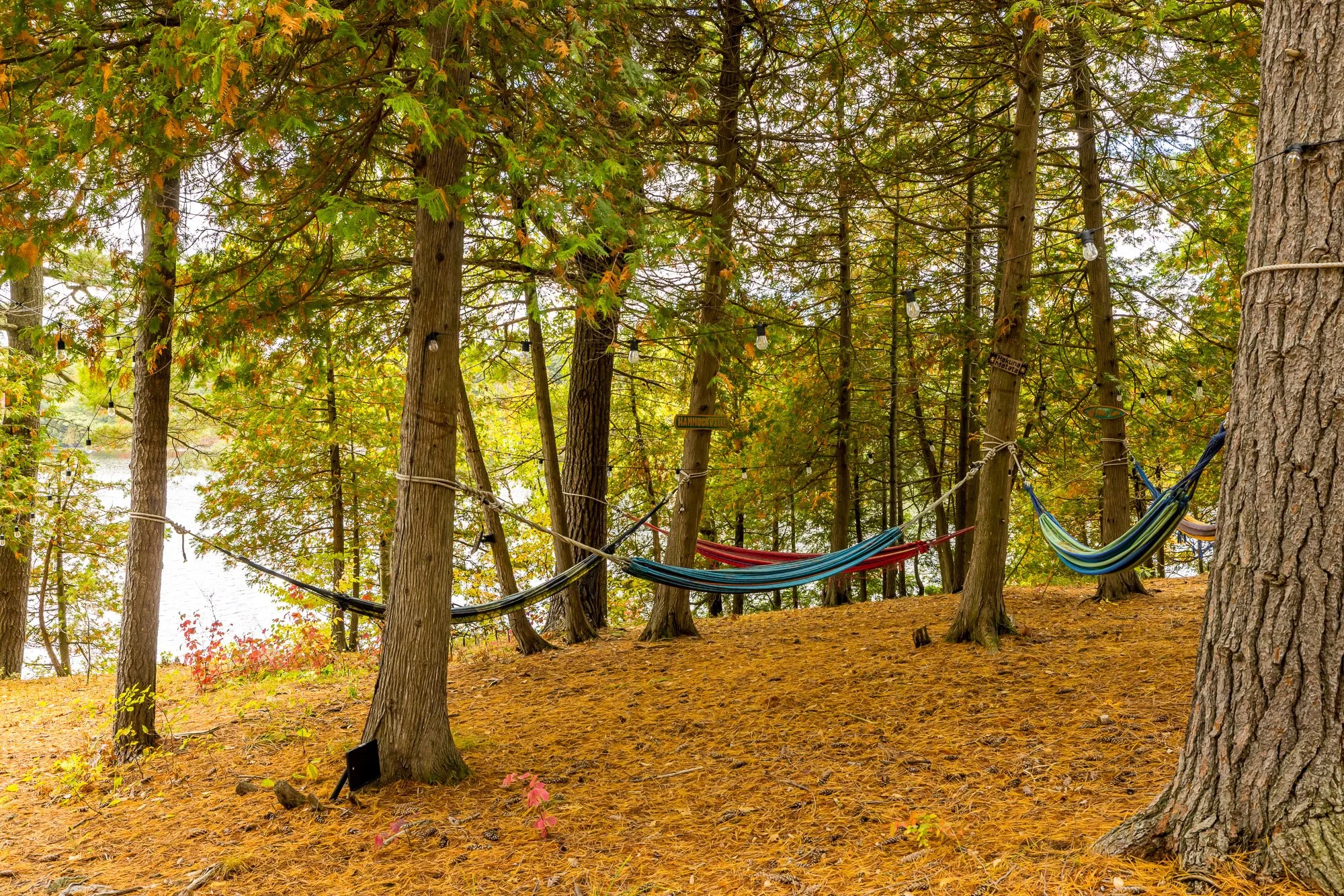 998 Pike Lake__076.jpg