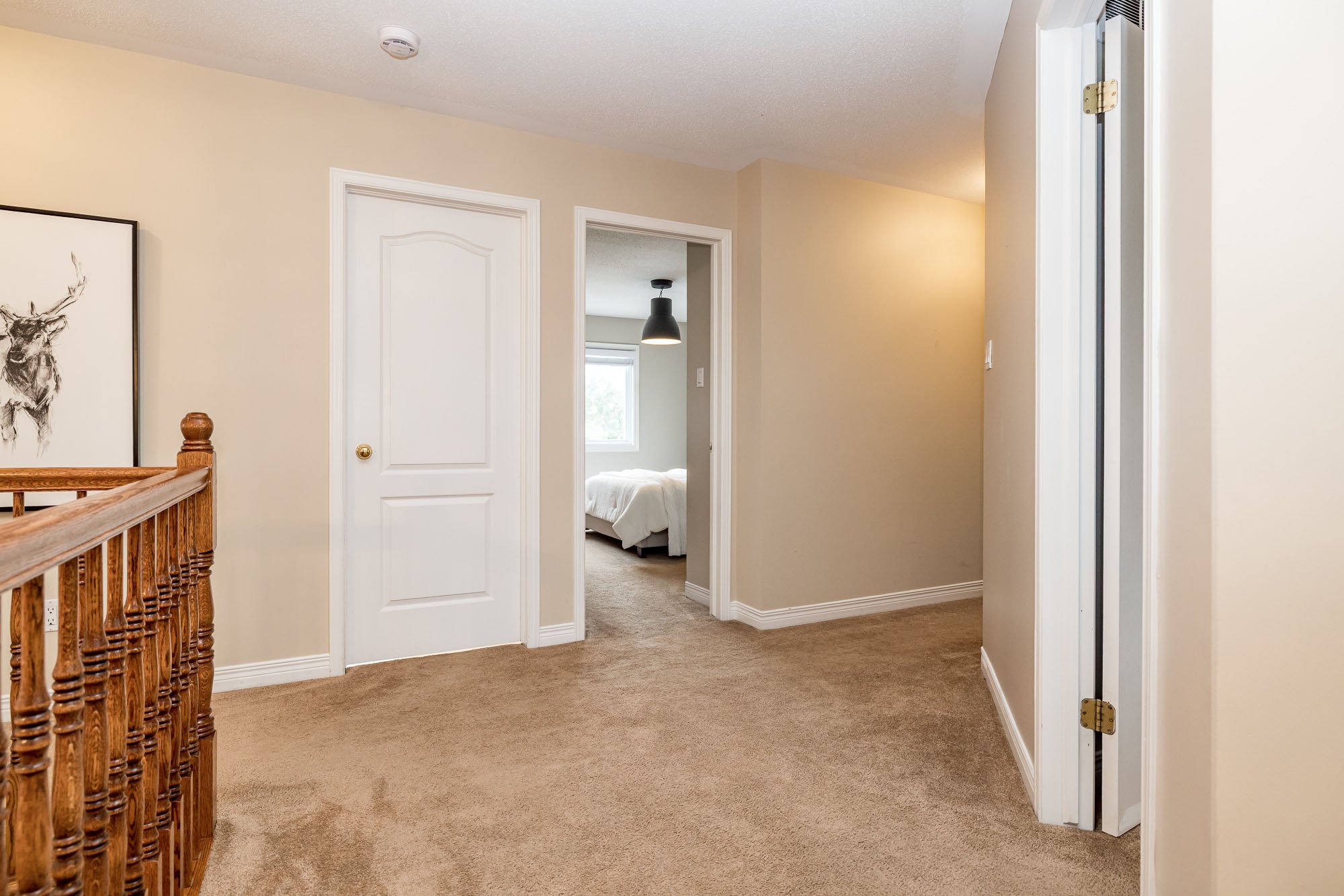 10 Beechgrove_073.jpg