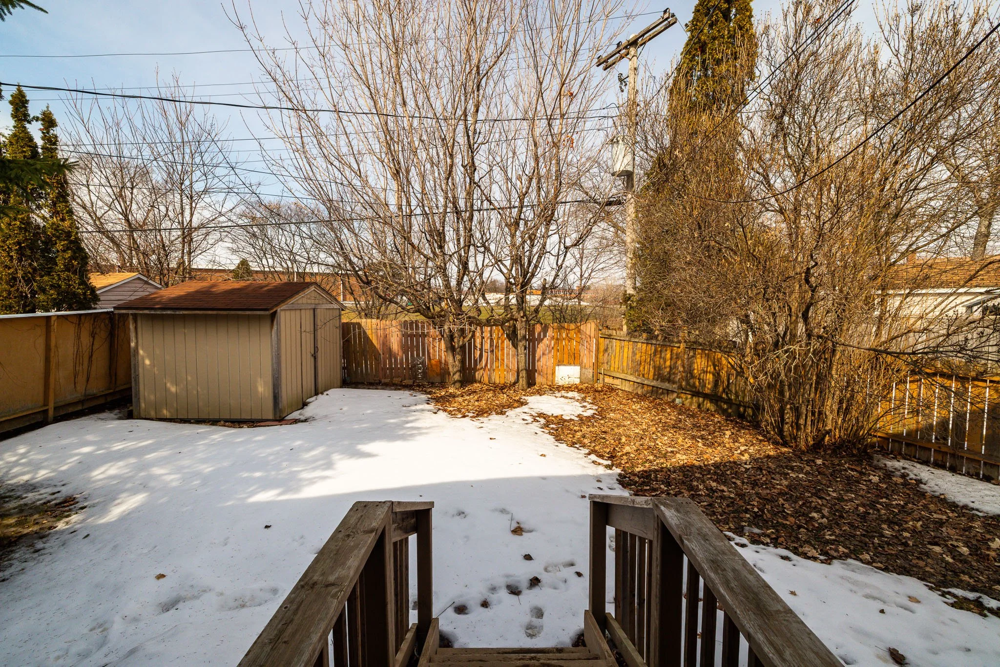 2196 Plesser_061.jpg