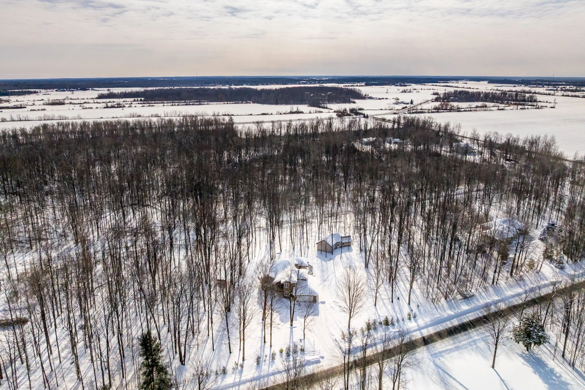 5830 Wood Duck_002.jpg