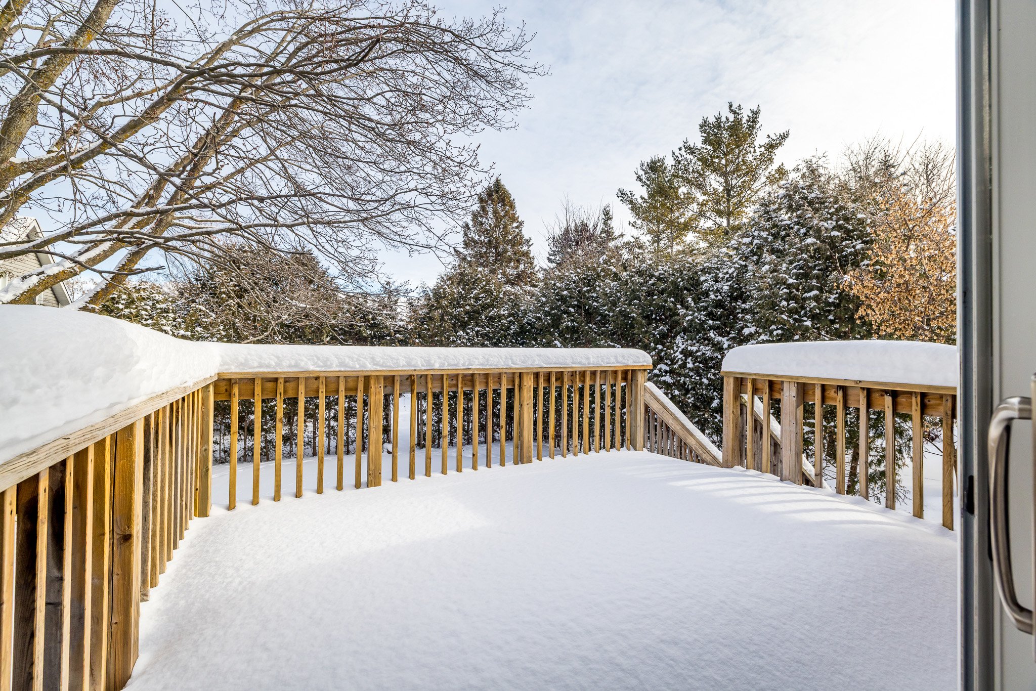 193 Napoleon_047.jpg