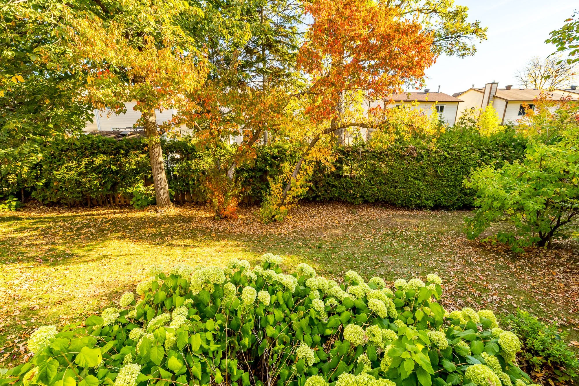 27 Pine Needles_052.jpg