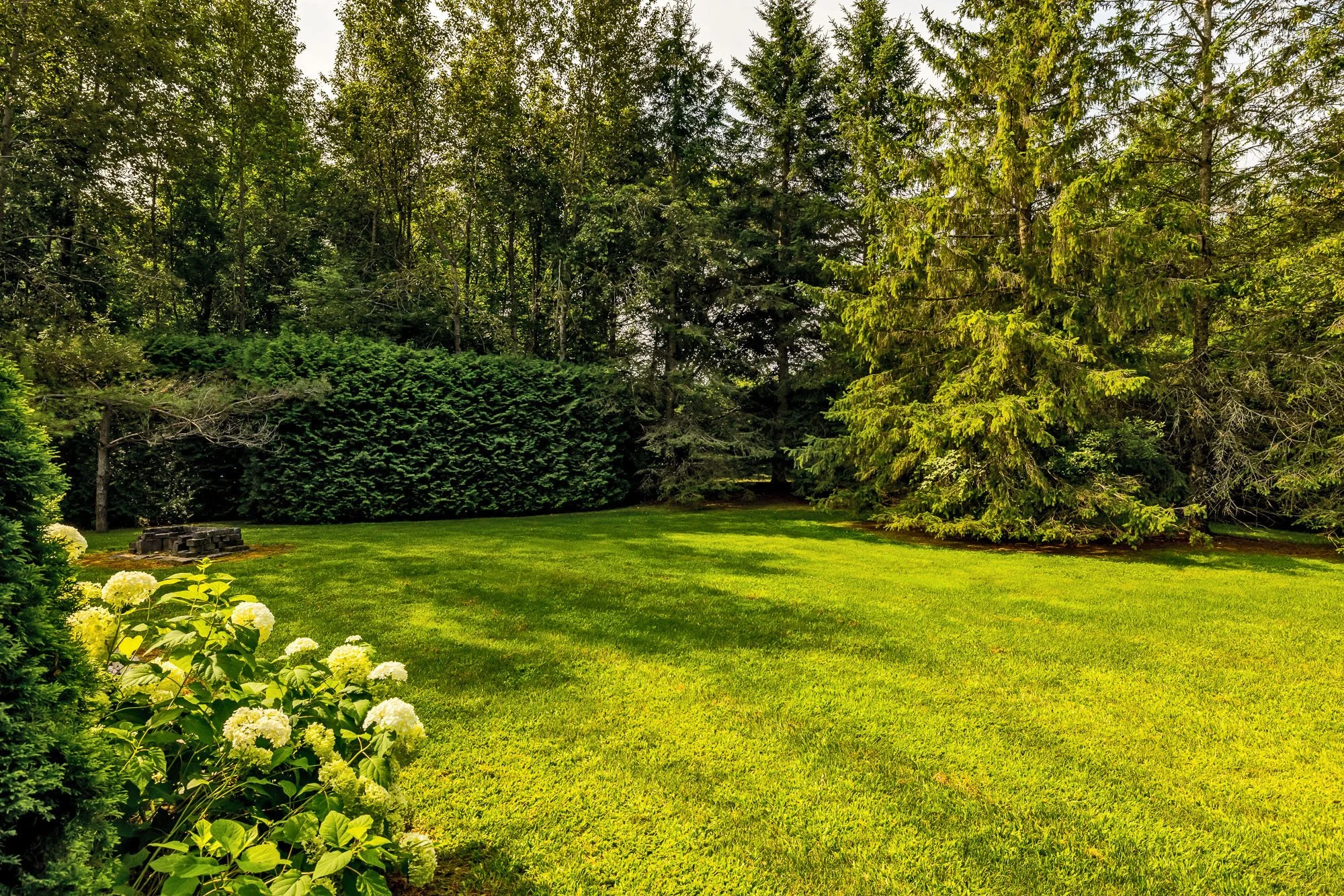 6196 Deermeadow_100.jpg