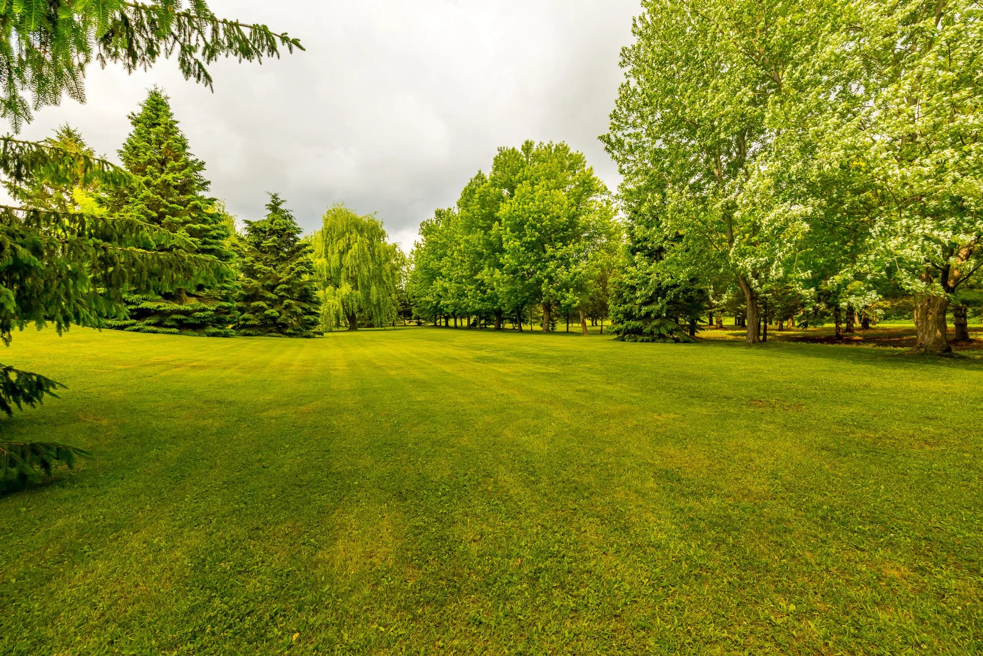 1329 South Gower__090.jpg