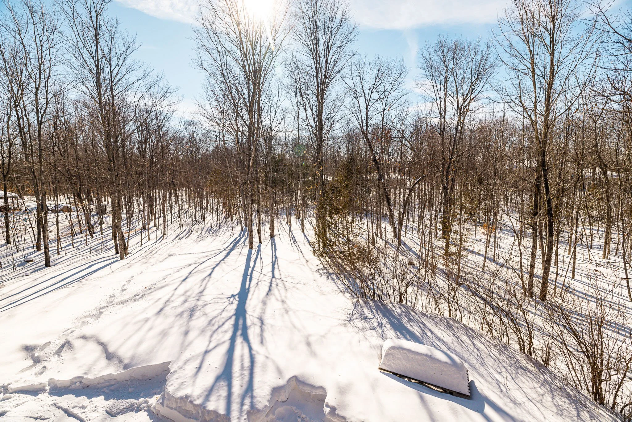 161 Northcote_042.jpg