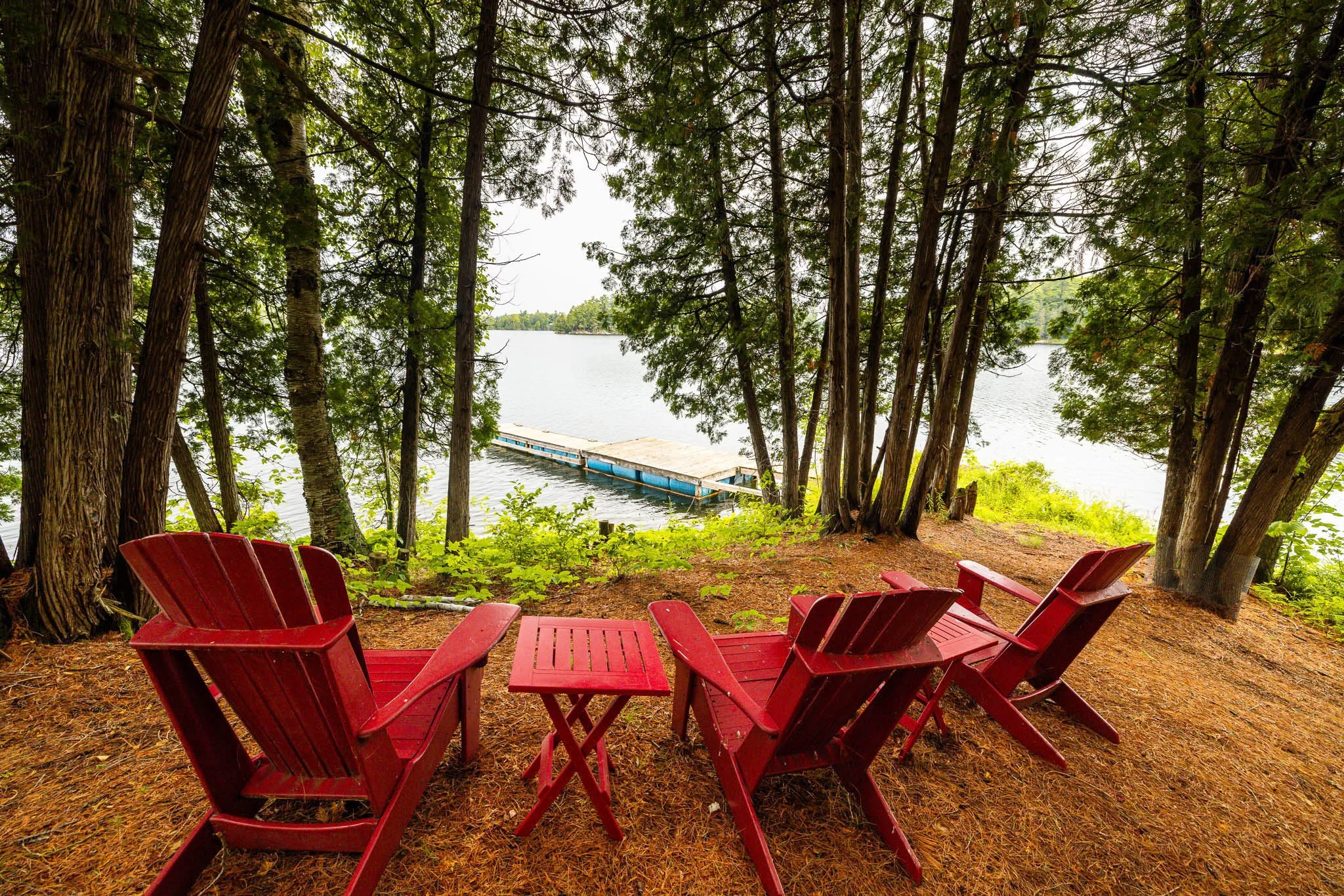 688 Dewitt_0070.jpg