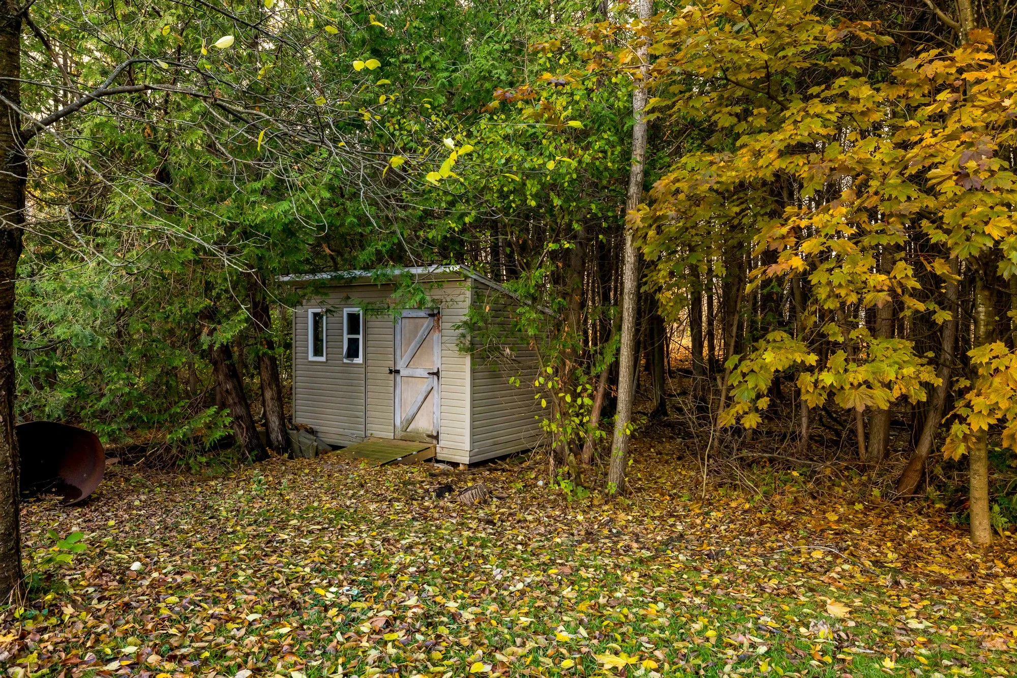 6492 Waddion_080.jpg