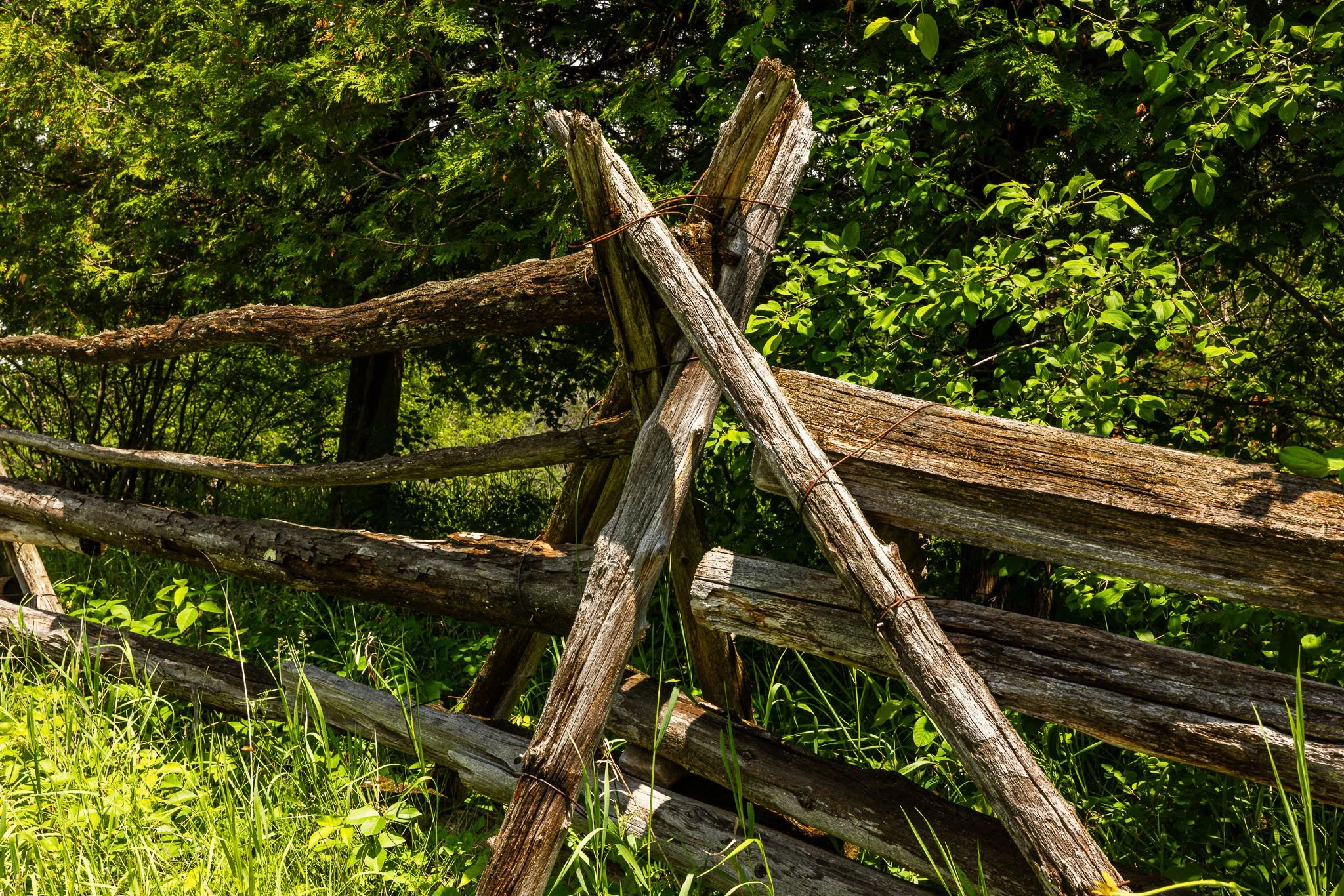 1828 Burnt Lands_0087.jpg