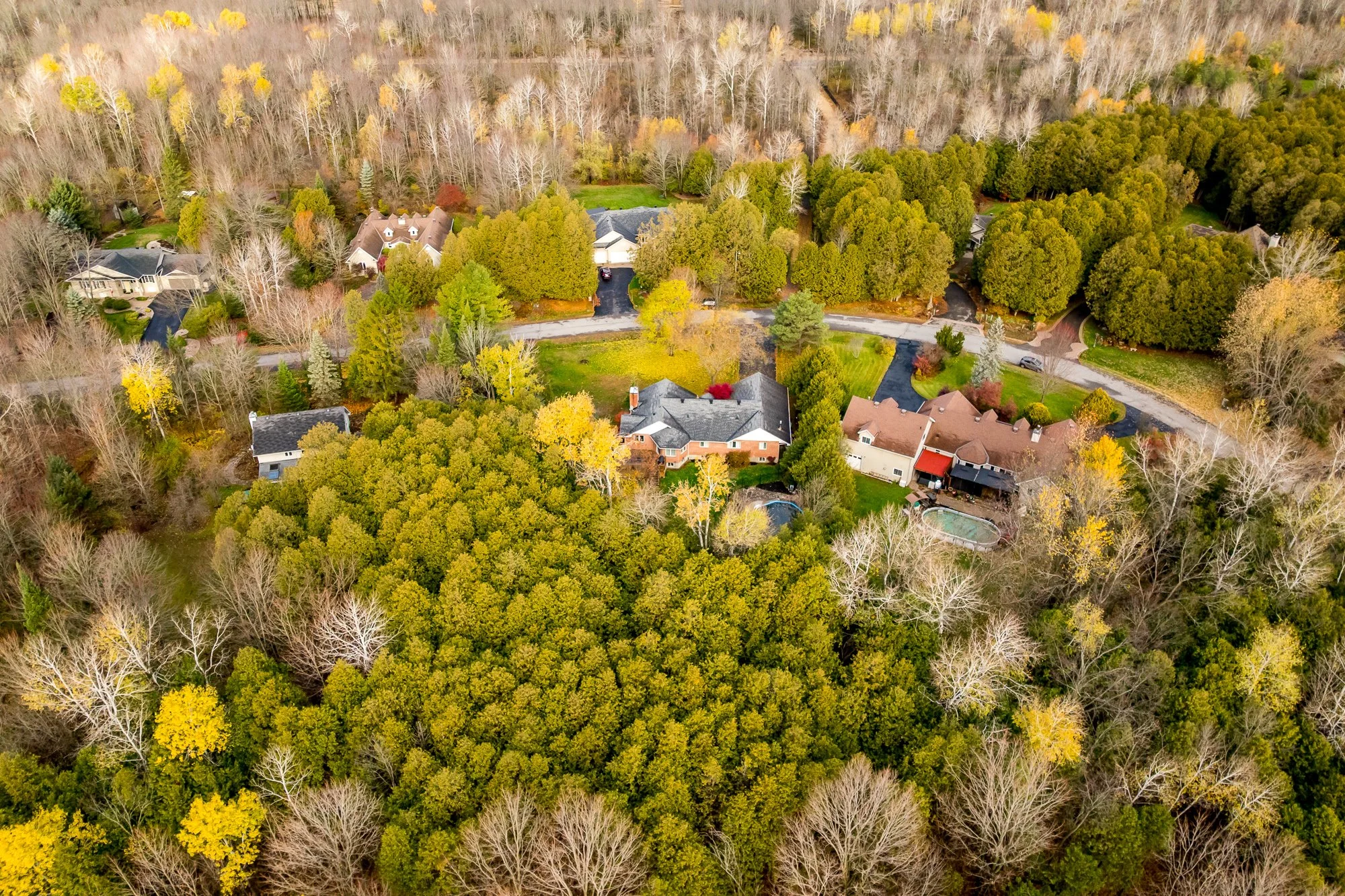 6492 Waddion_067.jpg