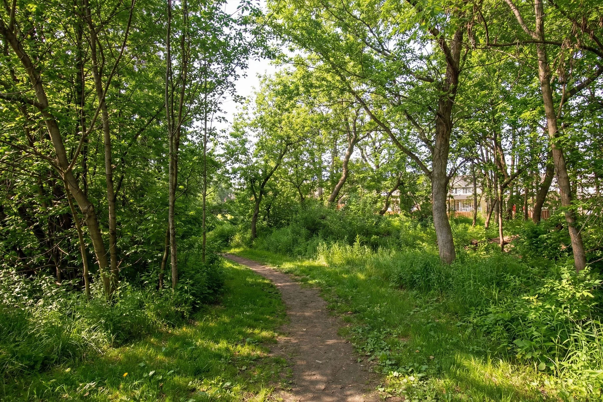 19A Tadley_036summer.jpg