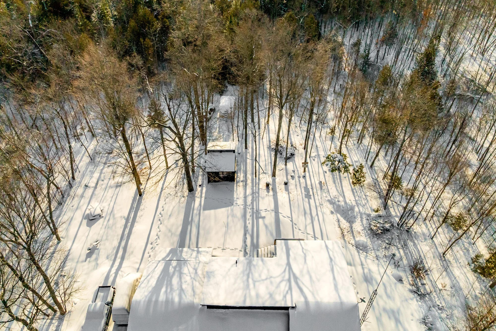 6779 Rogers Stevens _Update_025.jpg