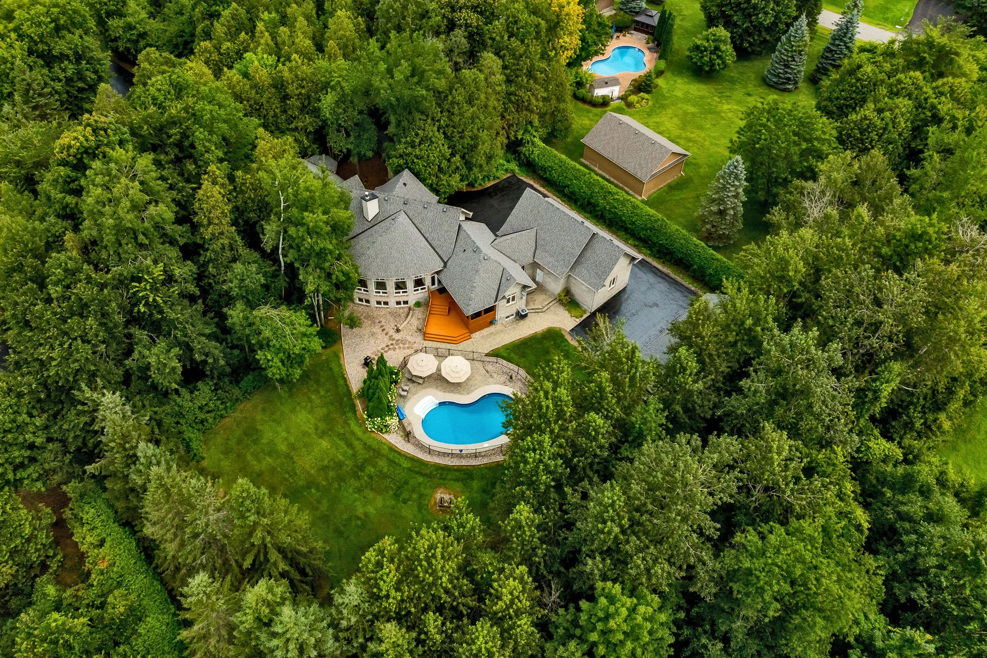 6196 Deermeadow_079.jpg