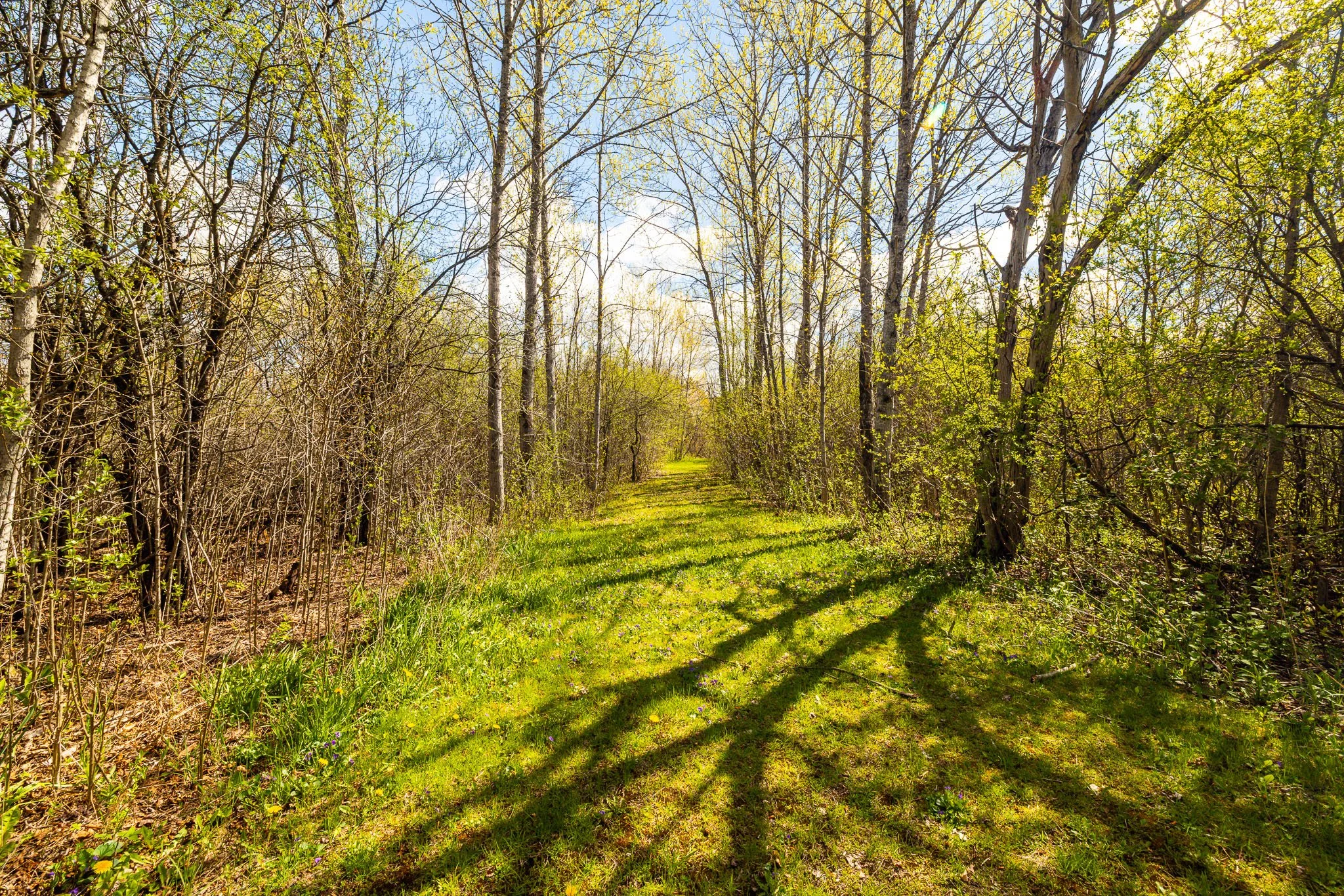 167 Gardiner_068.jpg