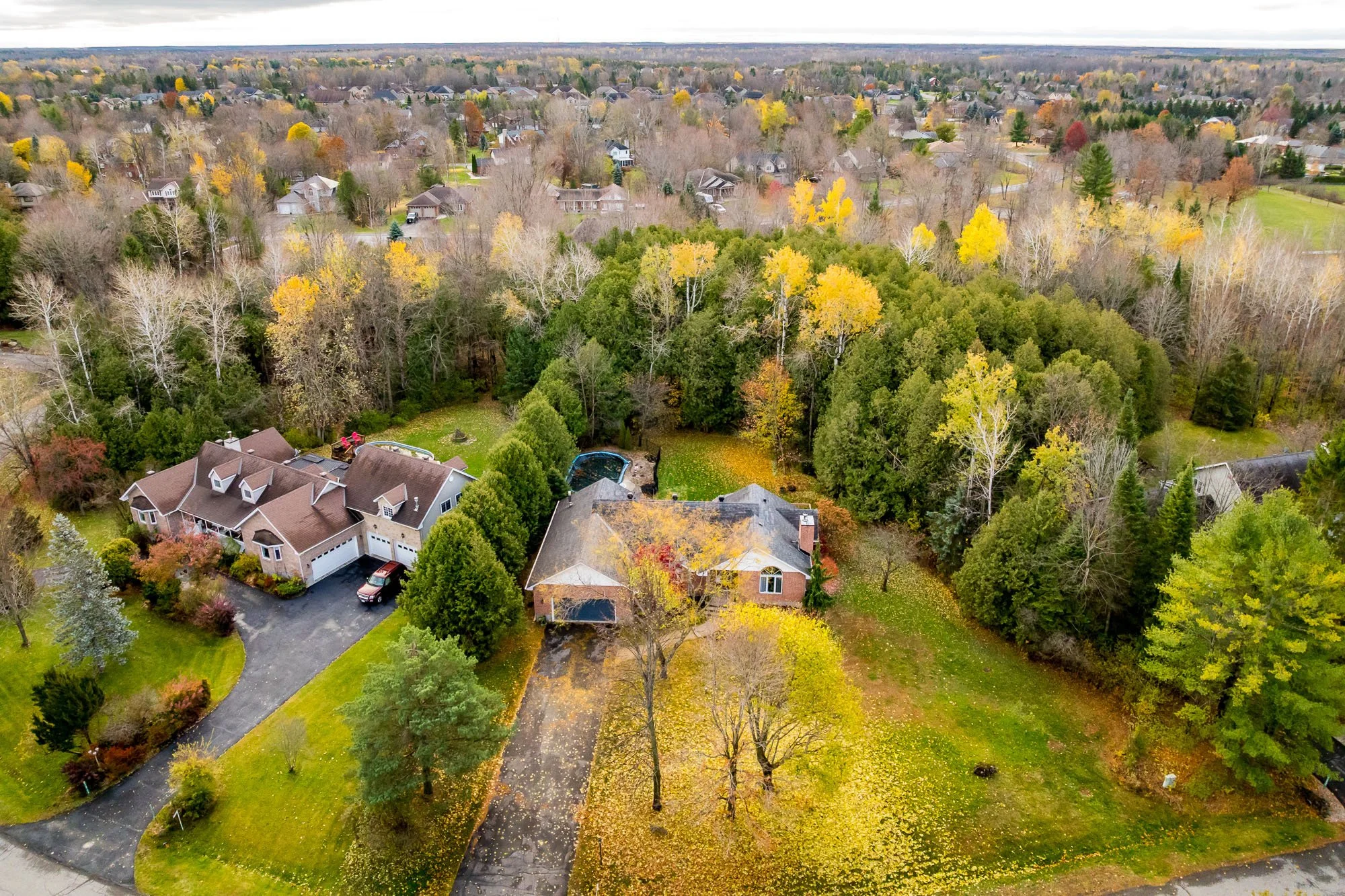 6492 Waddion_006.jpg