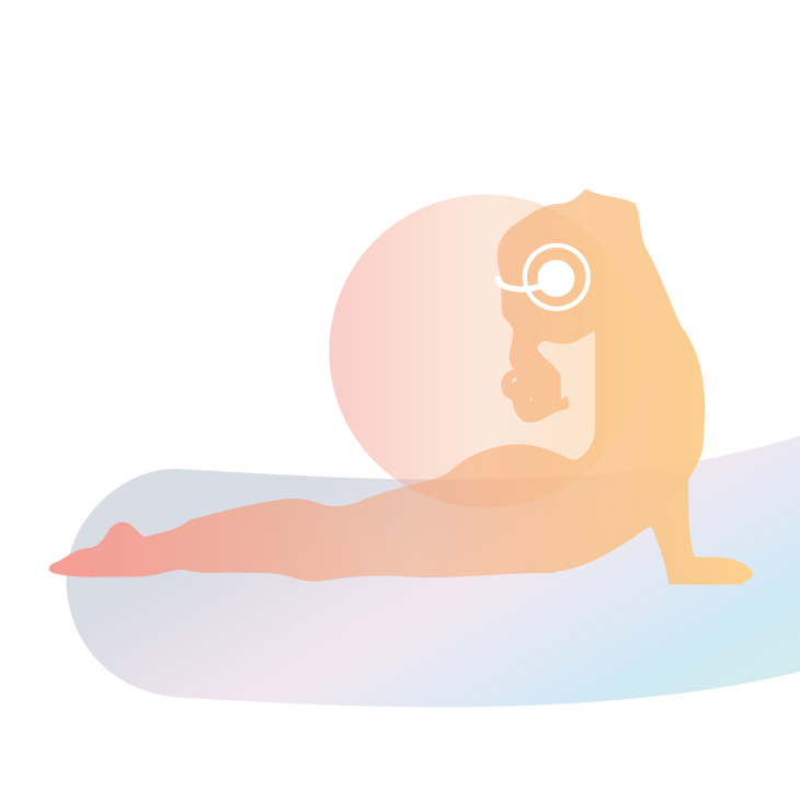 Programs-04.png
