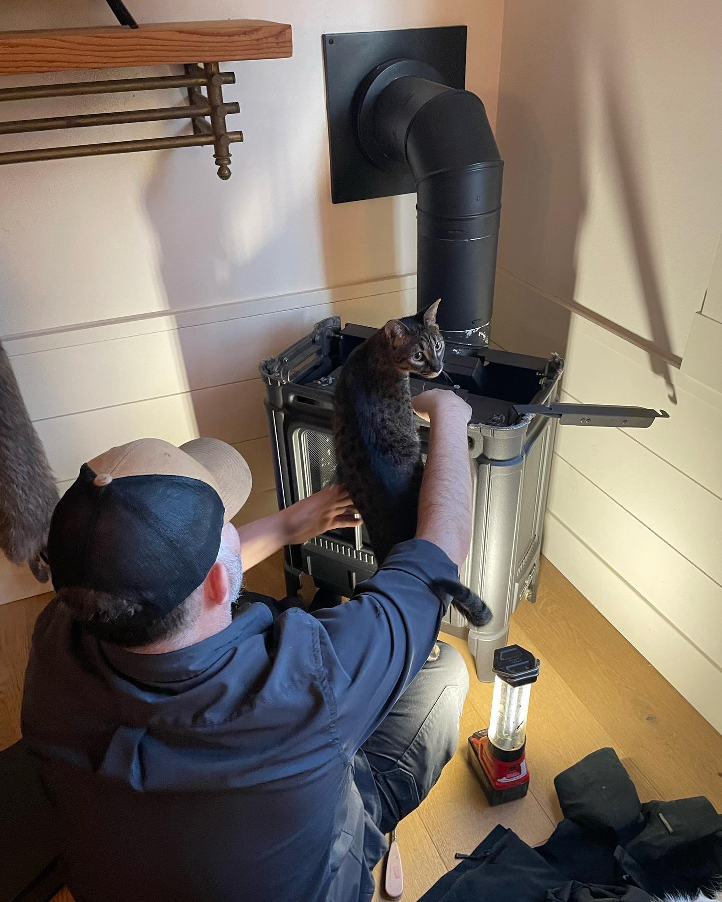 Here&rsquo;s Jason training our new apurrentice 😸 

#meowgrade #purringandgas #regencyfurplace