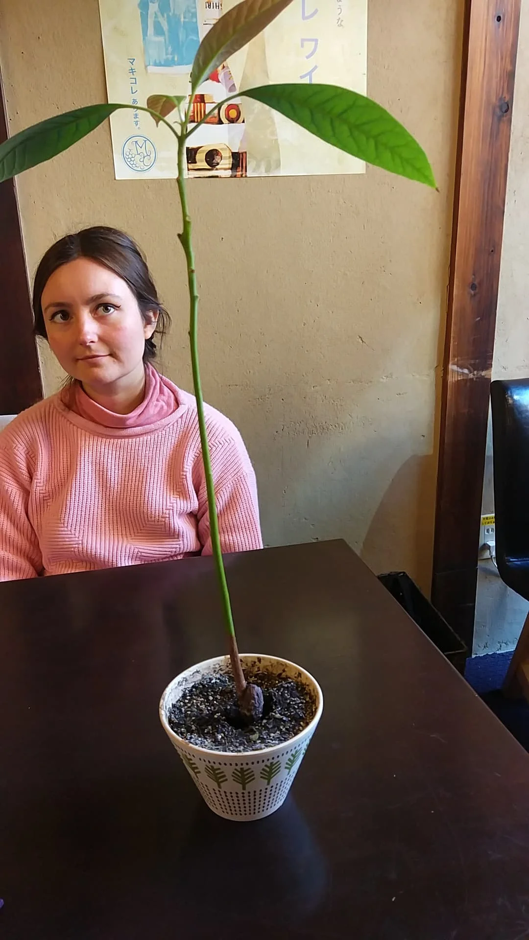 Mary and an avocado tree at Kouso Cafe 85