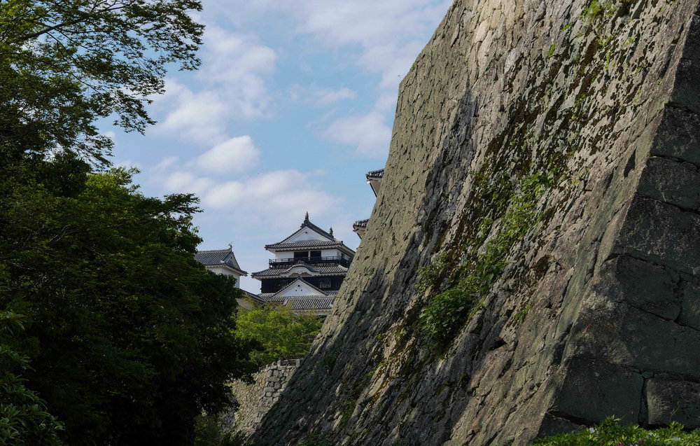 matsuyama-castle-hill-10.jpg