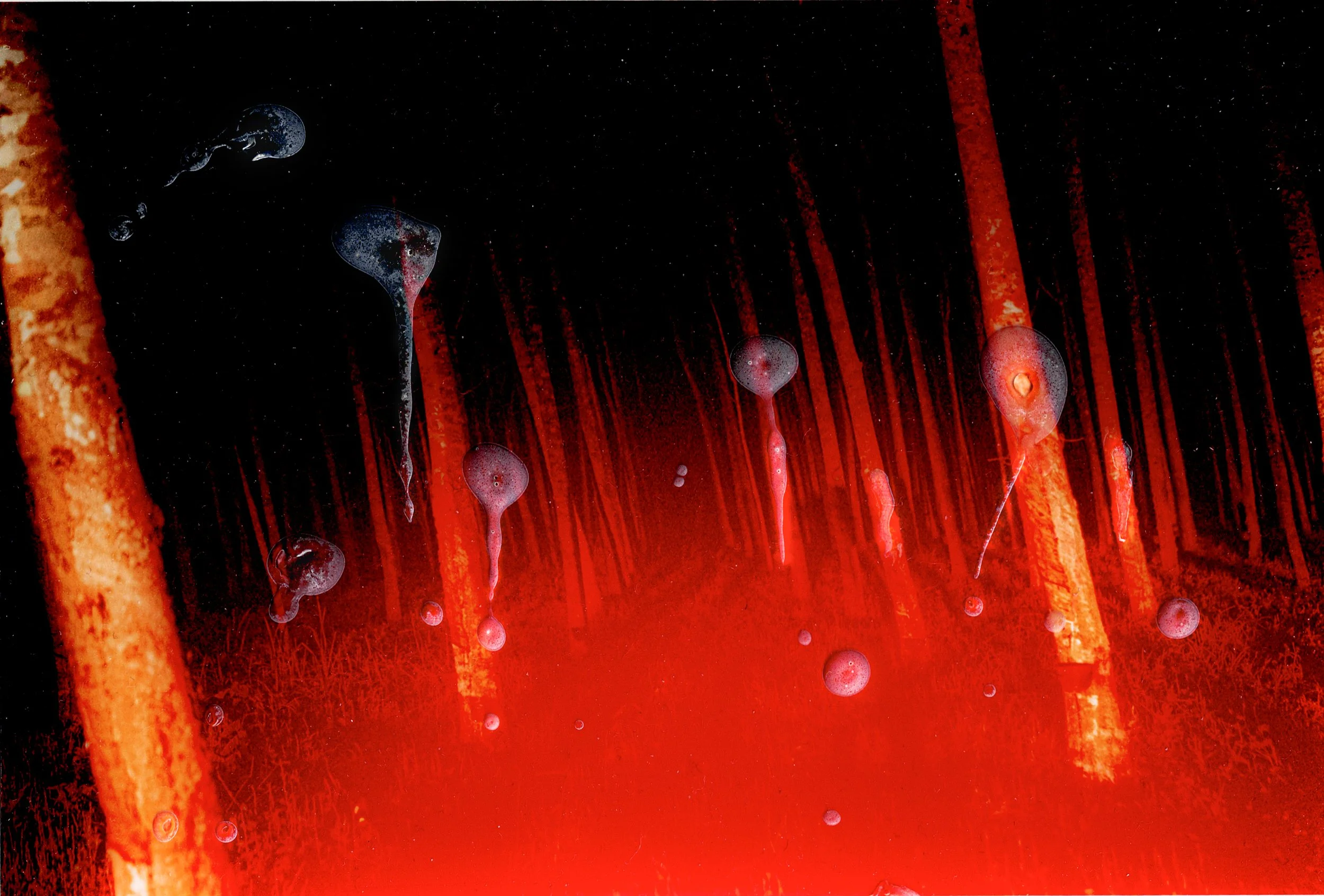 ocula pic 4.jpg