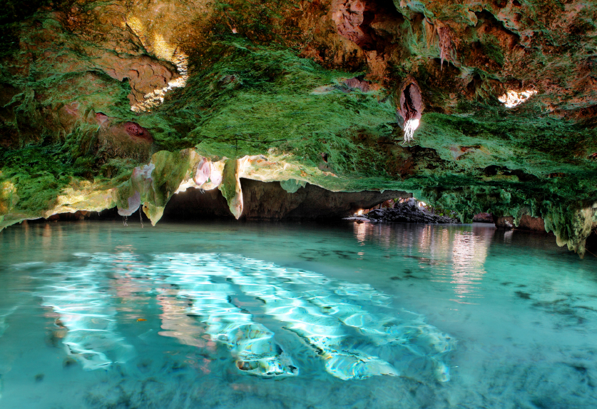 Tour Cenote 4.jpg
