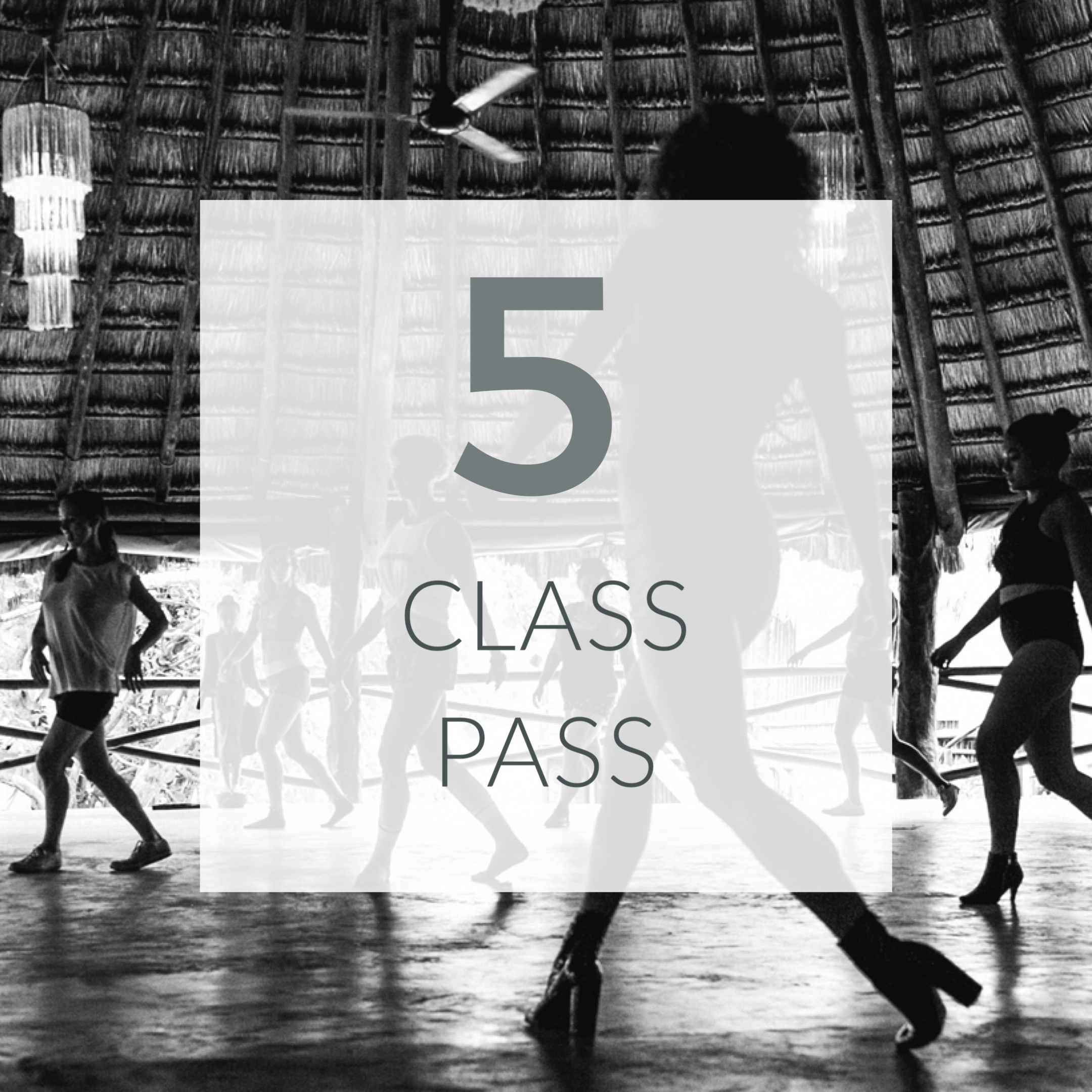 5 CLASS PASS: DROP-IN