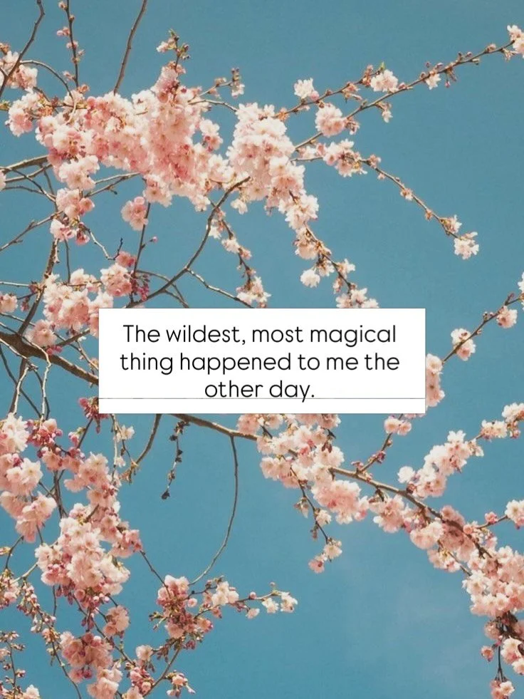 I wish I could tell you what it is. But some things gotta stay sacred. 
When it hit me, I cried. 

Like, of course that meditation felt so real and powerful - because I was working in the quantum realm. 

Of course I can travel forward and backward i