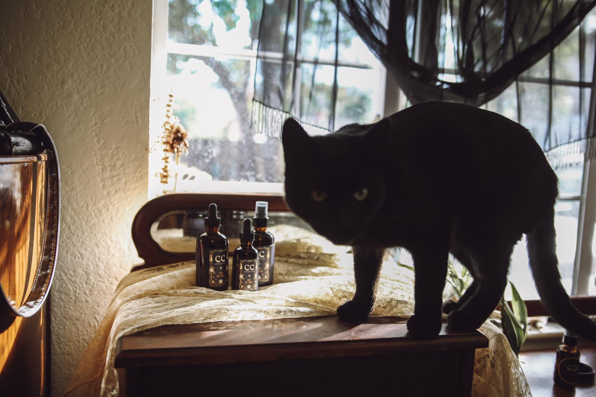 IMG_0065.jpeg