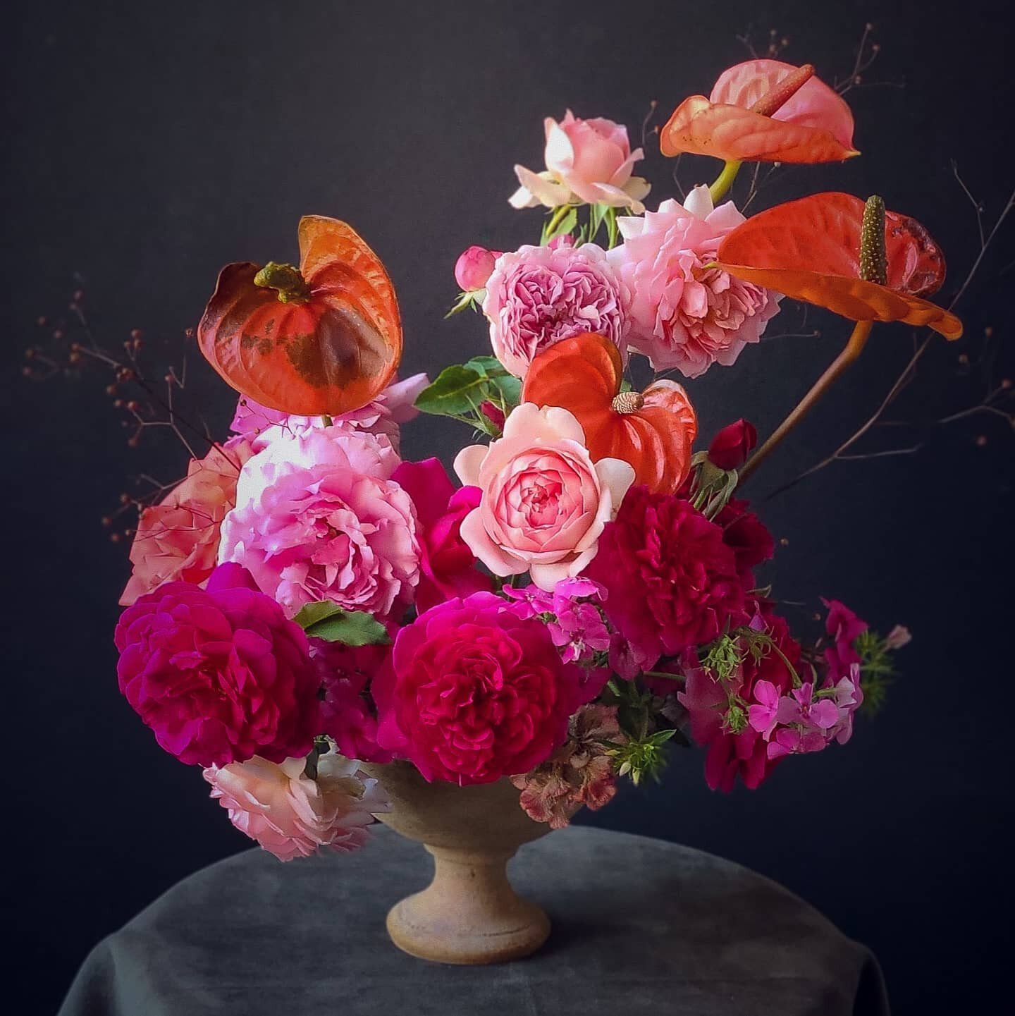 A houseplant and English roses went to a bar.