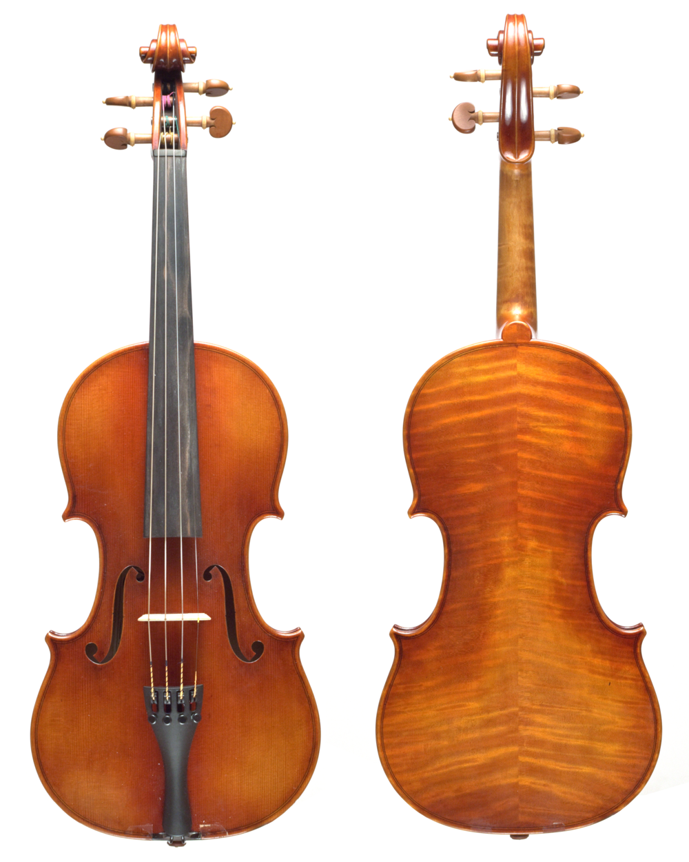 ydre boks hav det sjovt Ming Jiang Zhu Model 7 - Stradivarius — Terra Nova Violins - The Largest  Violin Shop in Texas