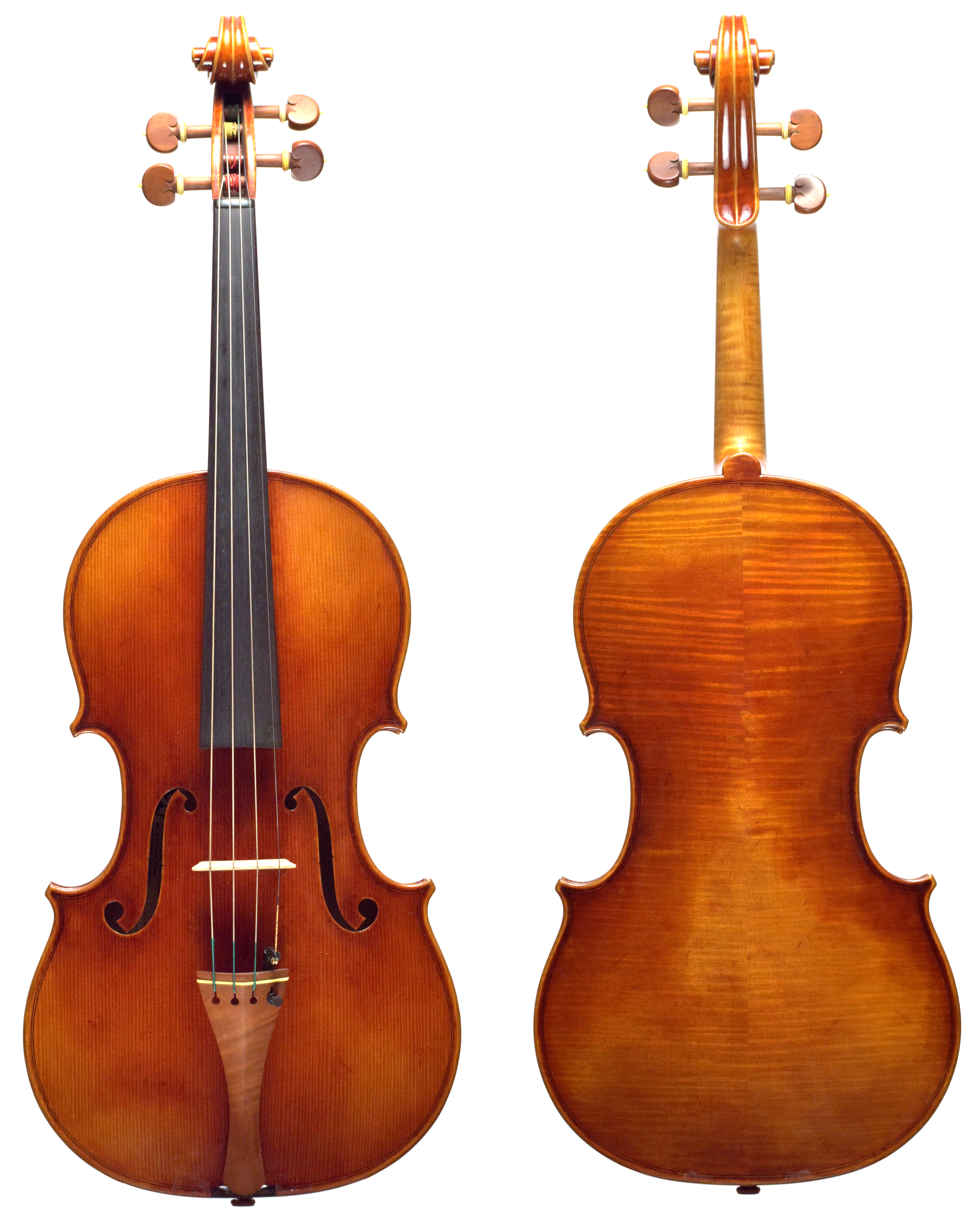 AMJZ916 Front and Back.png