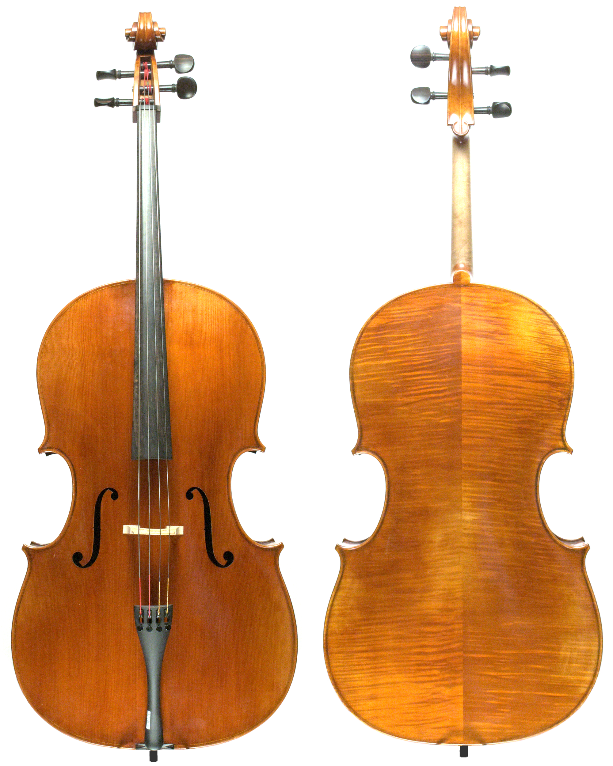 CALT3 Front and Back.png