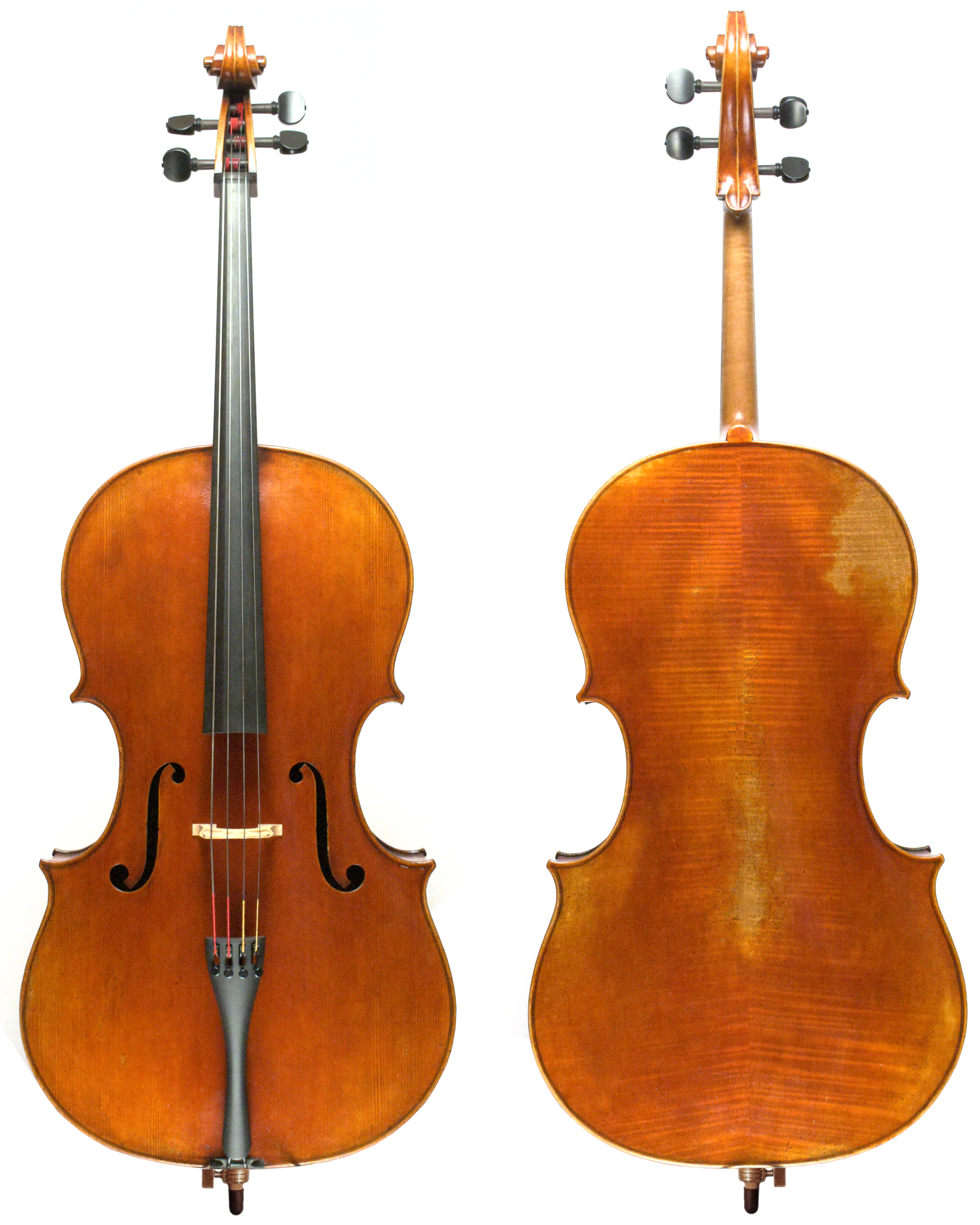 CJHAE Front and Back.png