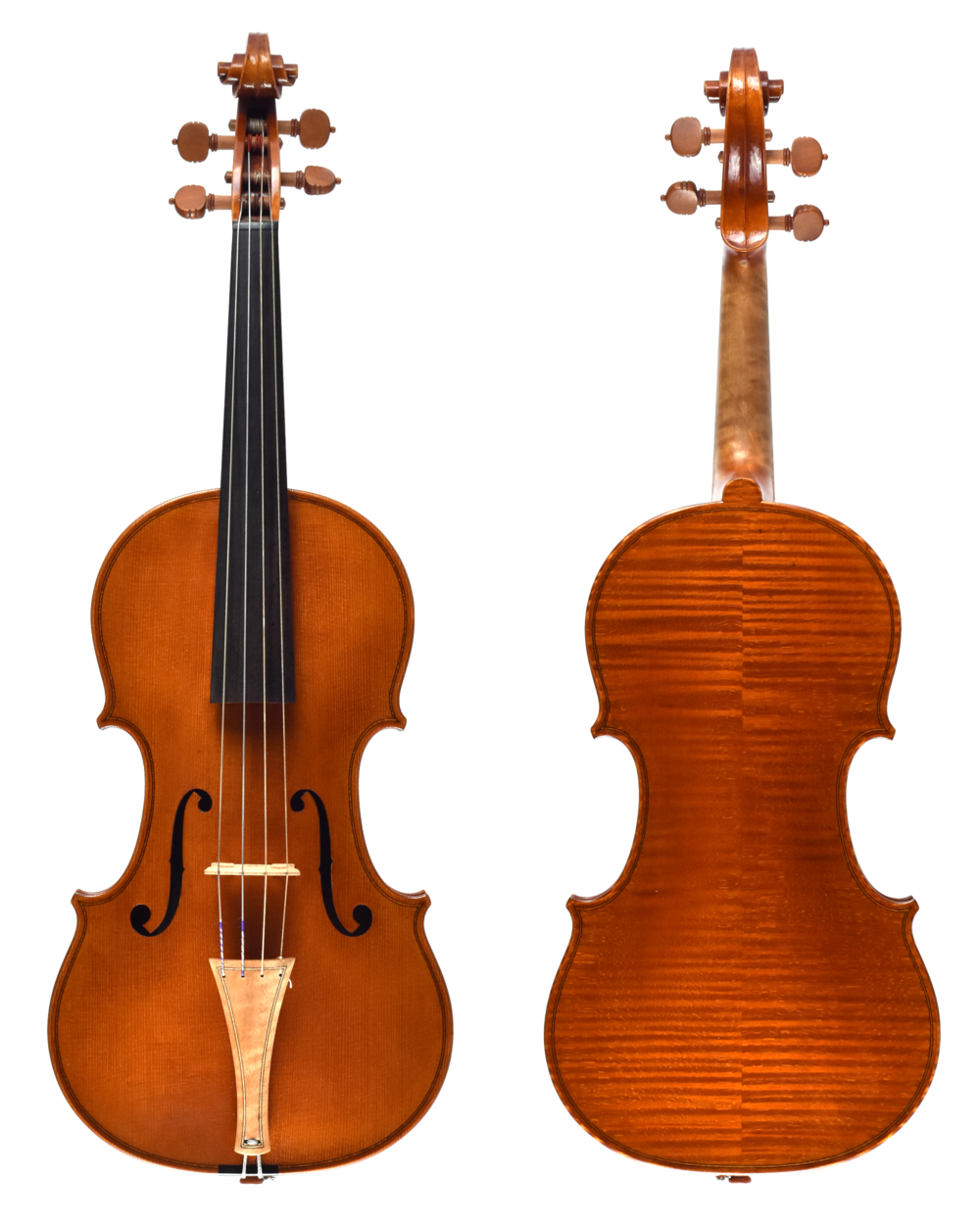 appetit drivende Skal Iesta Workshop Baroque Violin — Terra Nova Violins - The Largest Violin Shop  in Texas