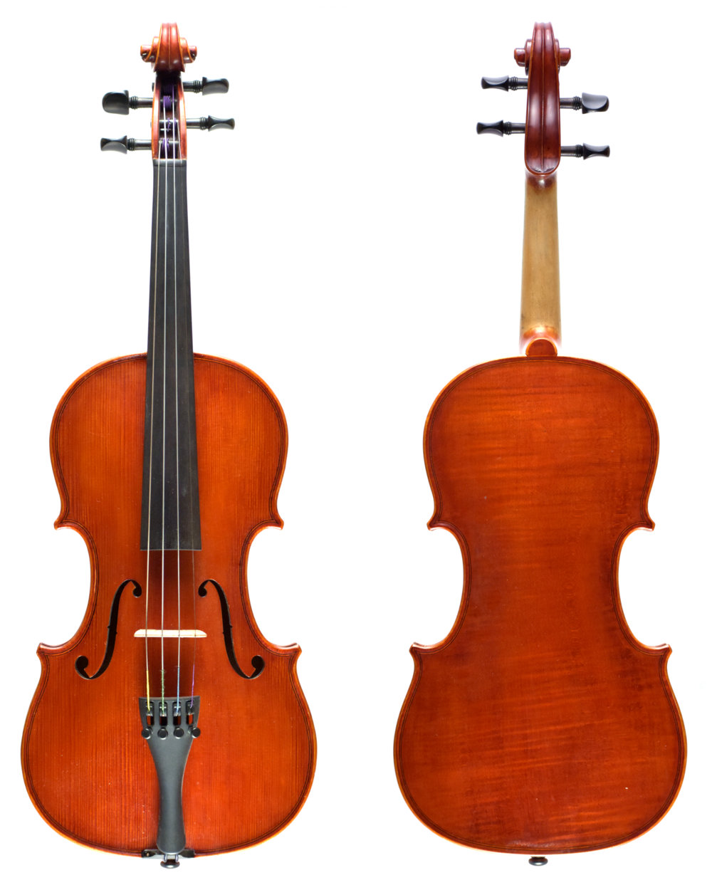 3/4 Eastman 210 — Terra Violins The Largest Violin Shop in Texas