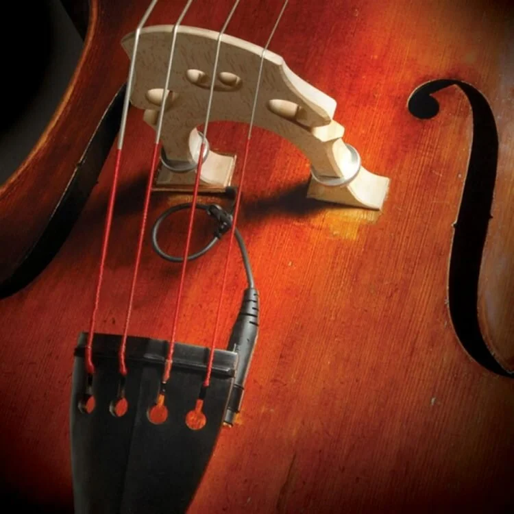 Realist-Bass- wood.jpg