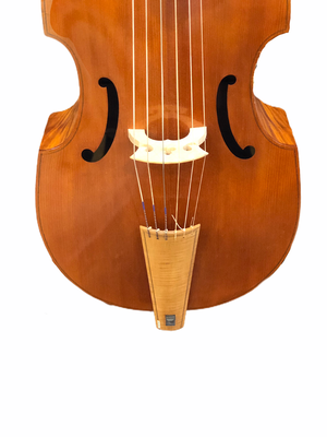 Iesta Workshop Six-String Bass Viol — Terra Nova Violins - The 