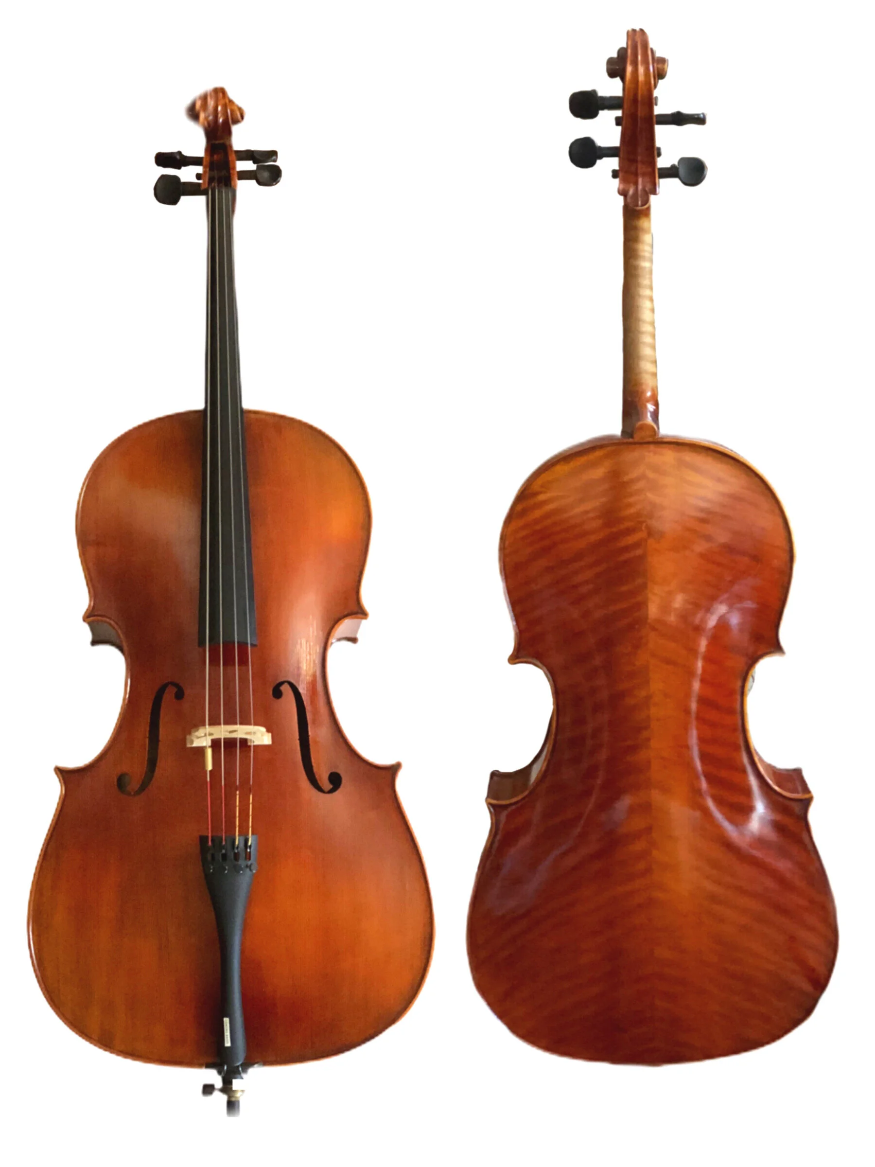 Martin+Beck+Cello.jpg
