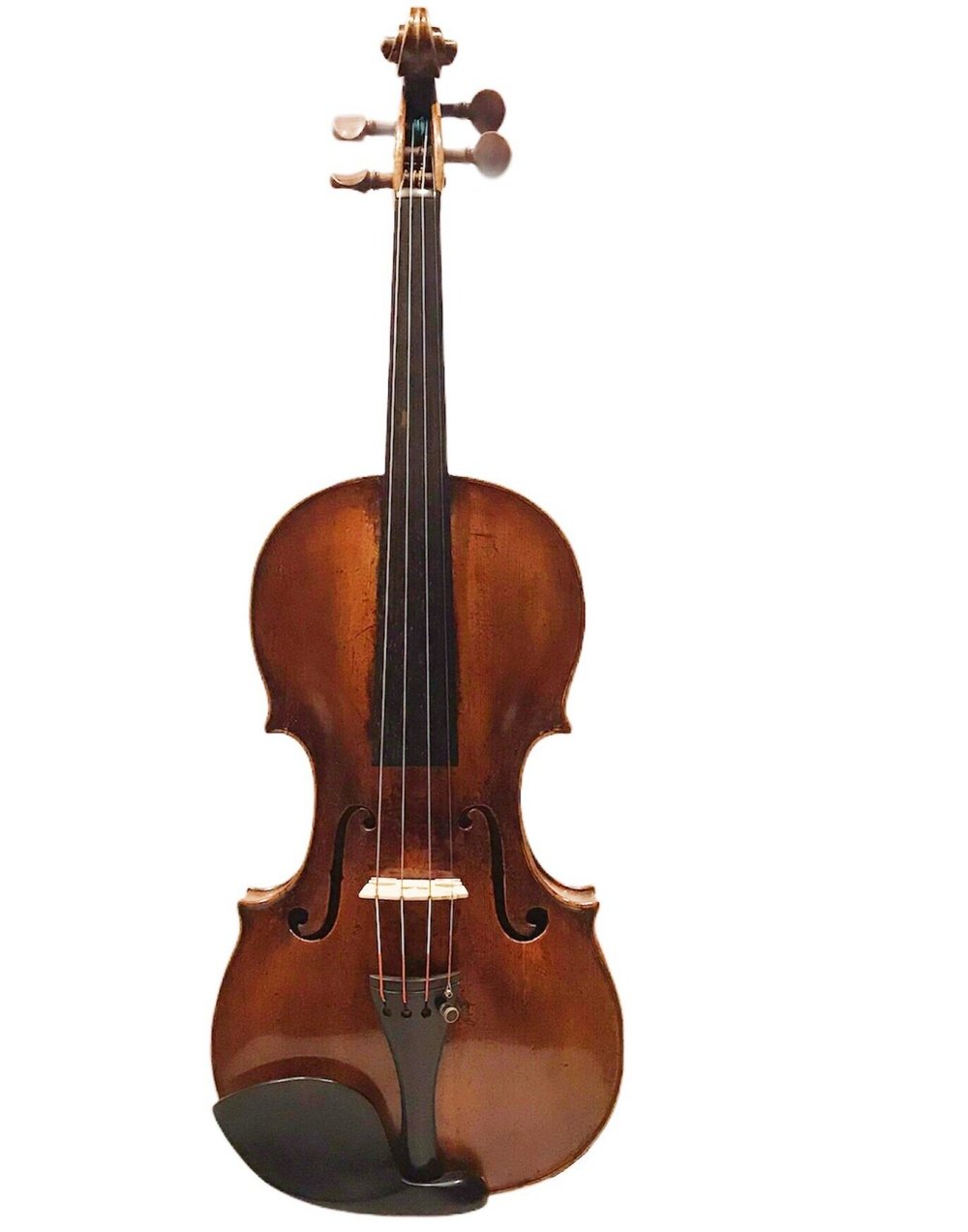 Johann Gottlob Ficker - Markneukirchen — Terra Nova Violins