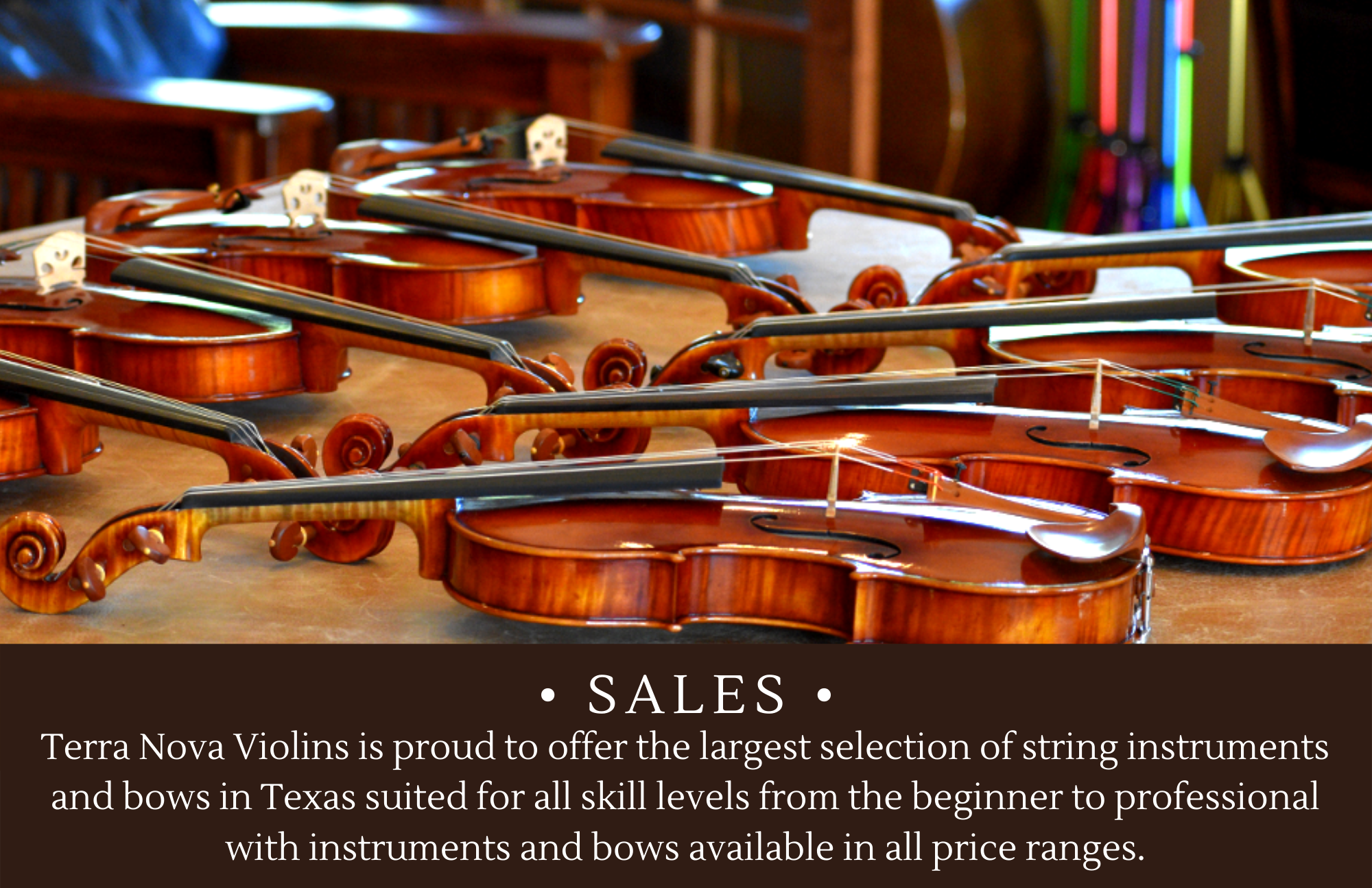 hecho comprador cirujano Terra Nova Violins - The Largest Violin Shop in Texas
