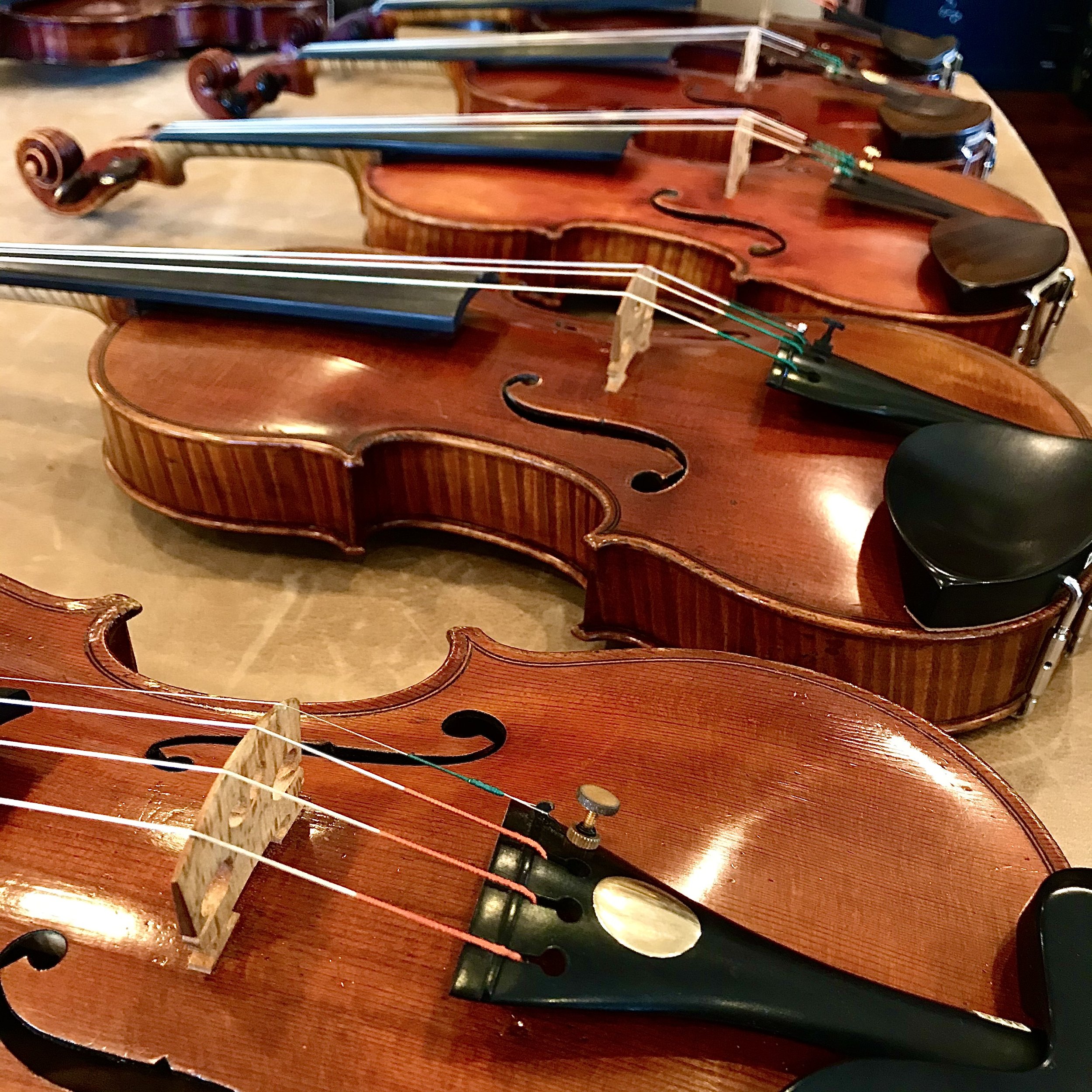 Terra - The Largest Violin Shop in Texas